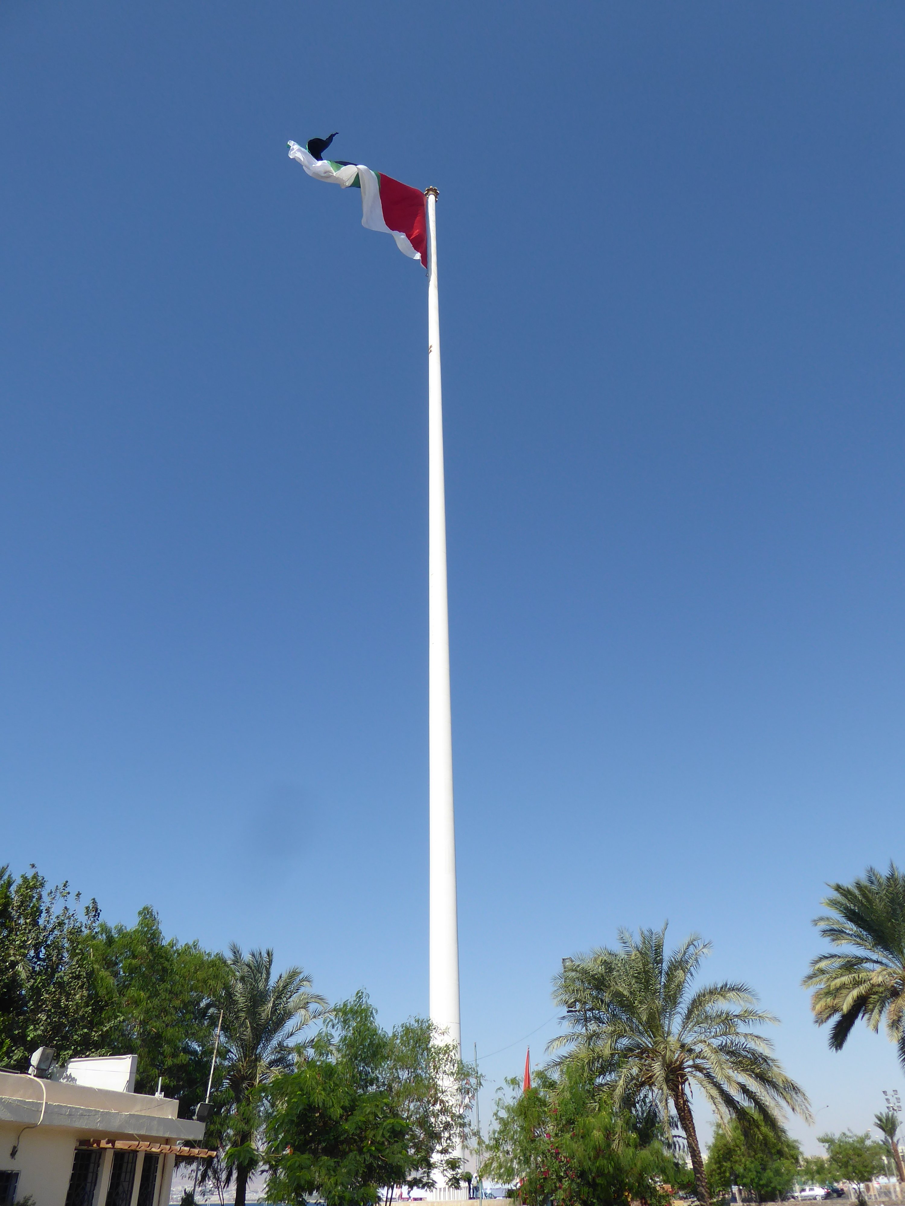 Flagpole