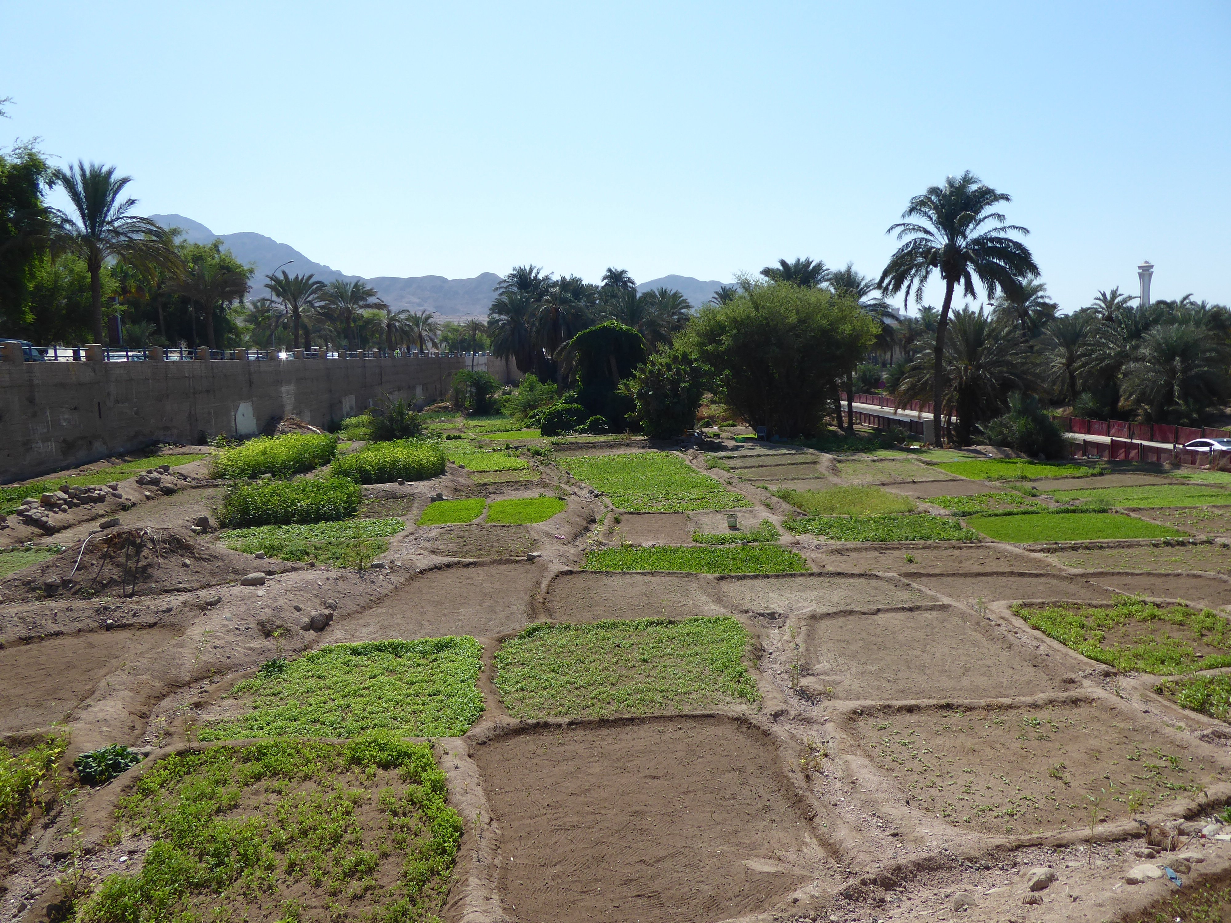 Aqaba