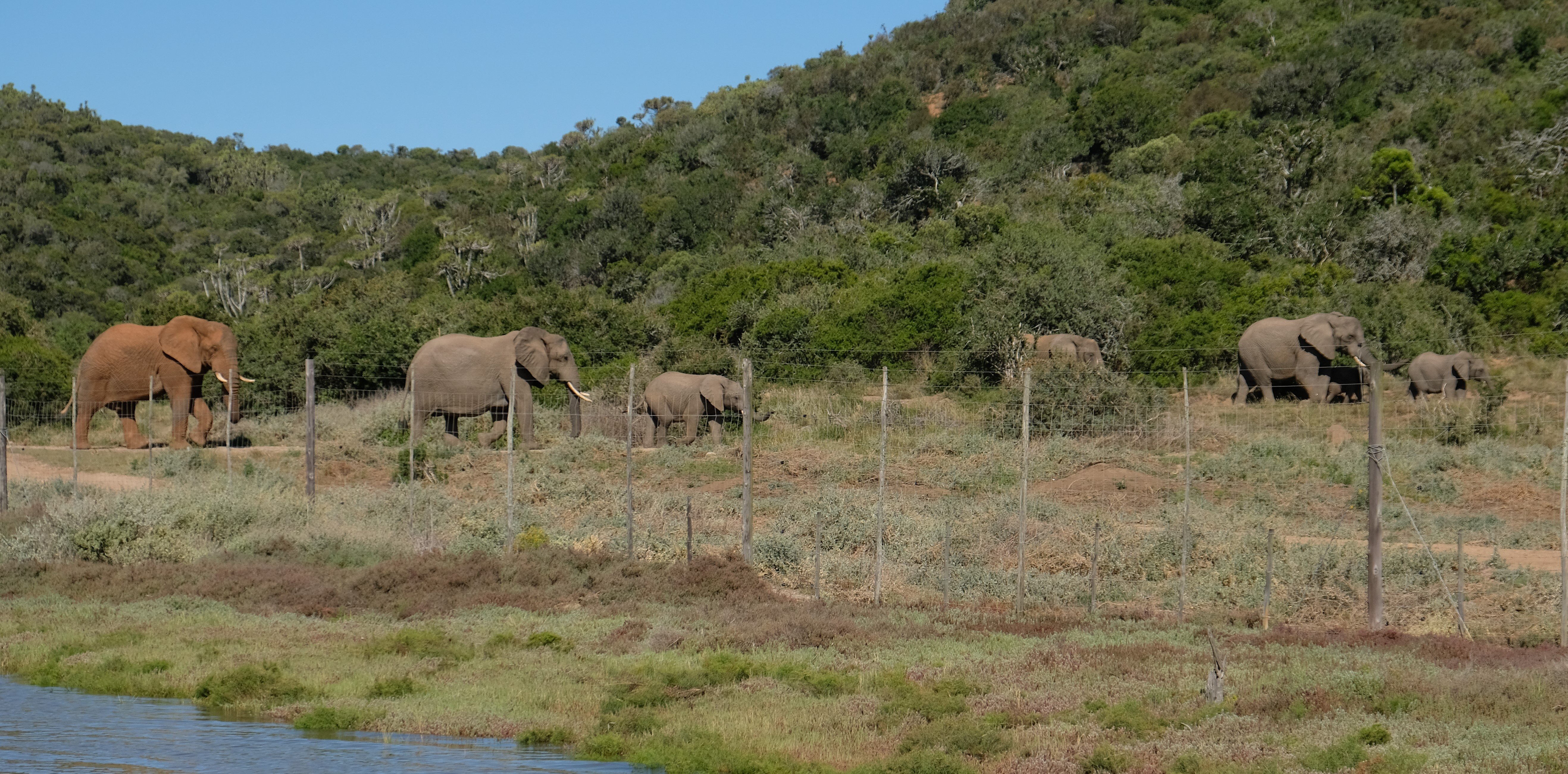 Eastern Cape