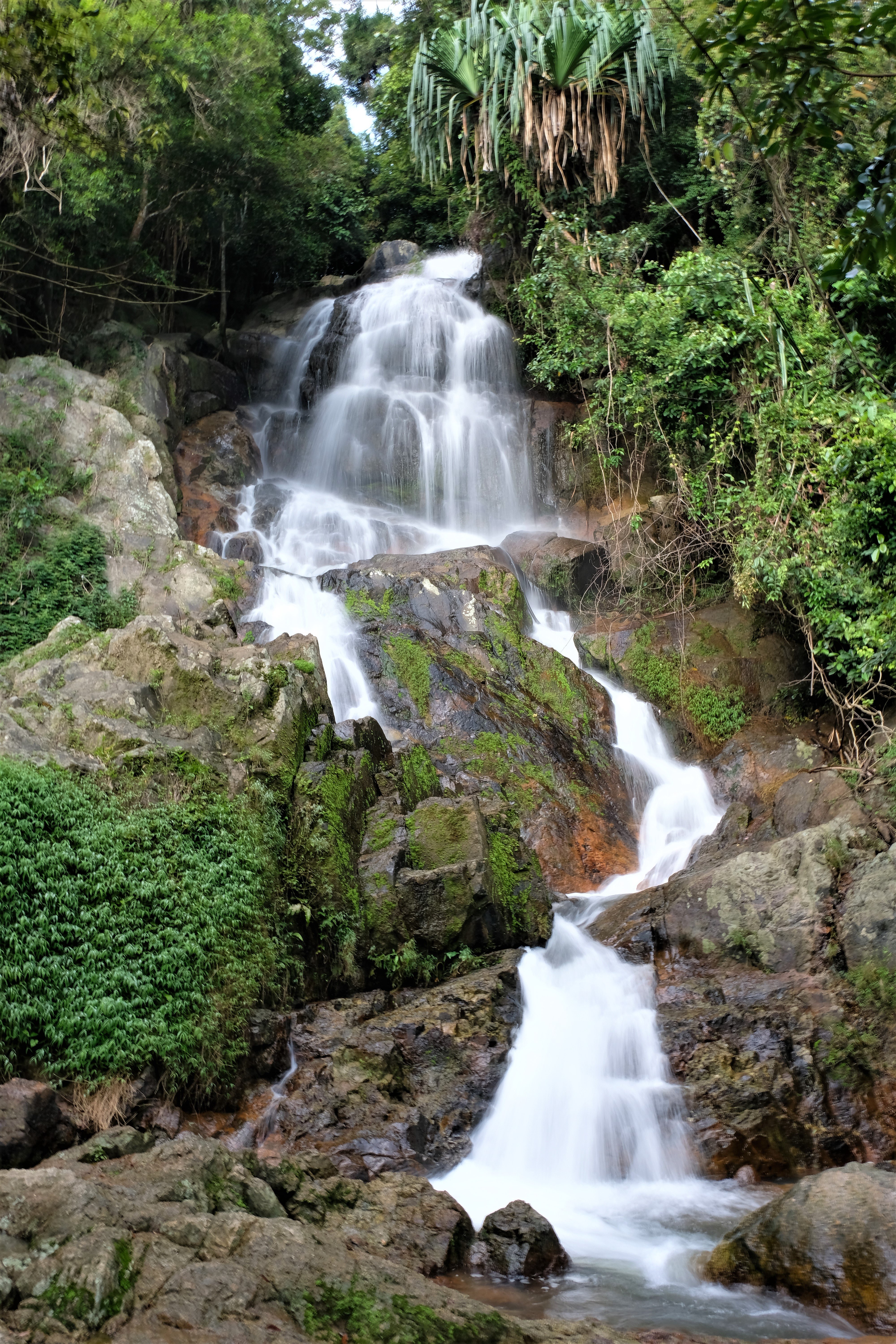 Samui