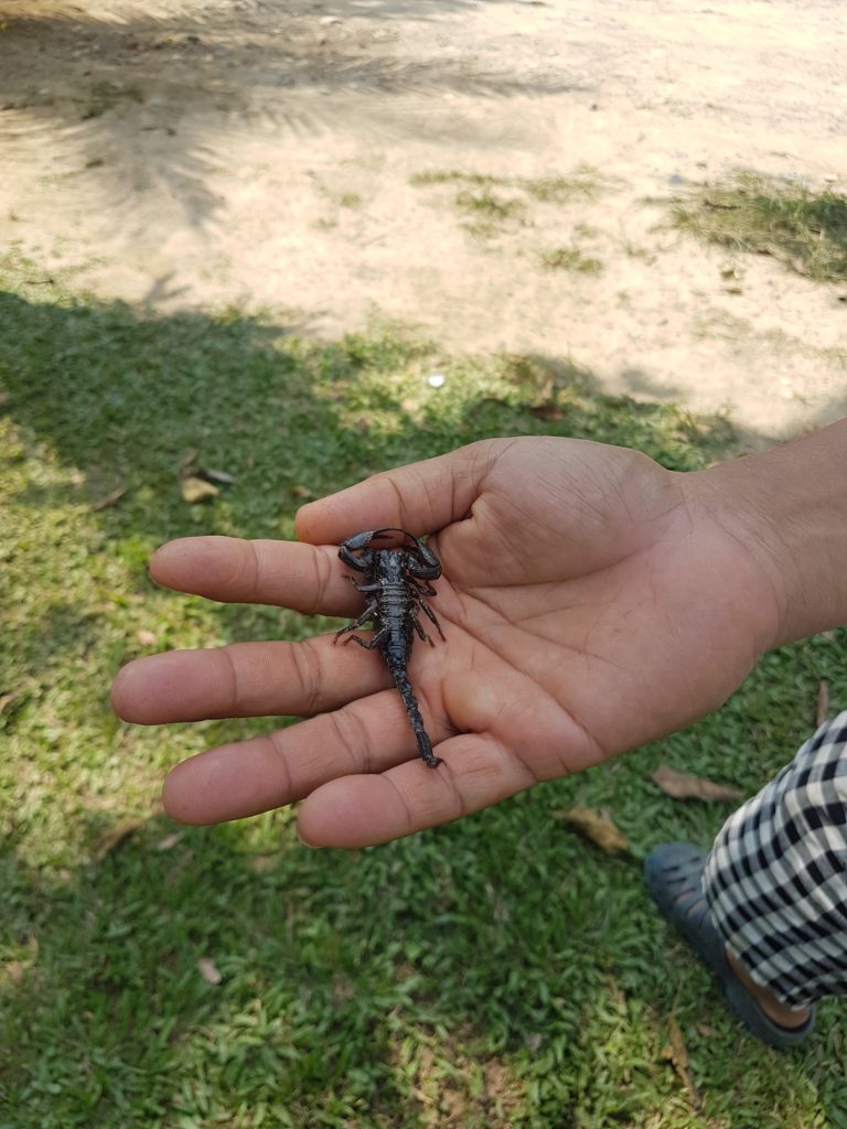 Khao Sok