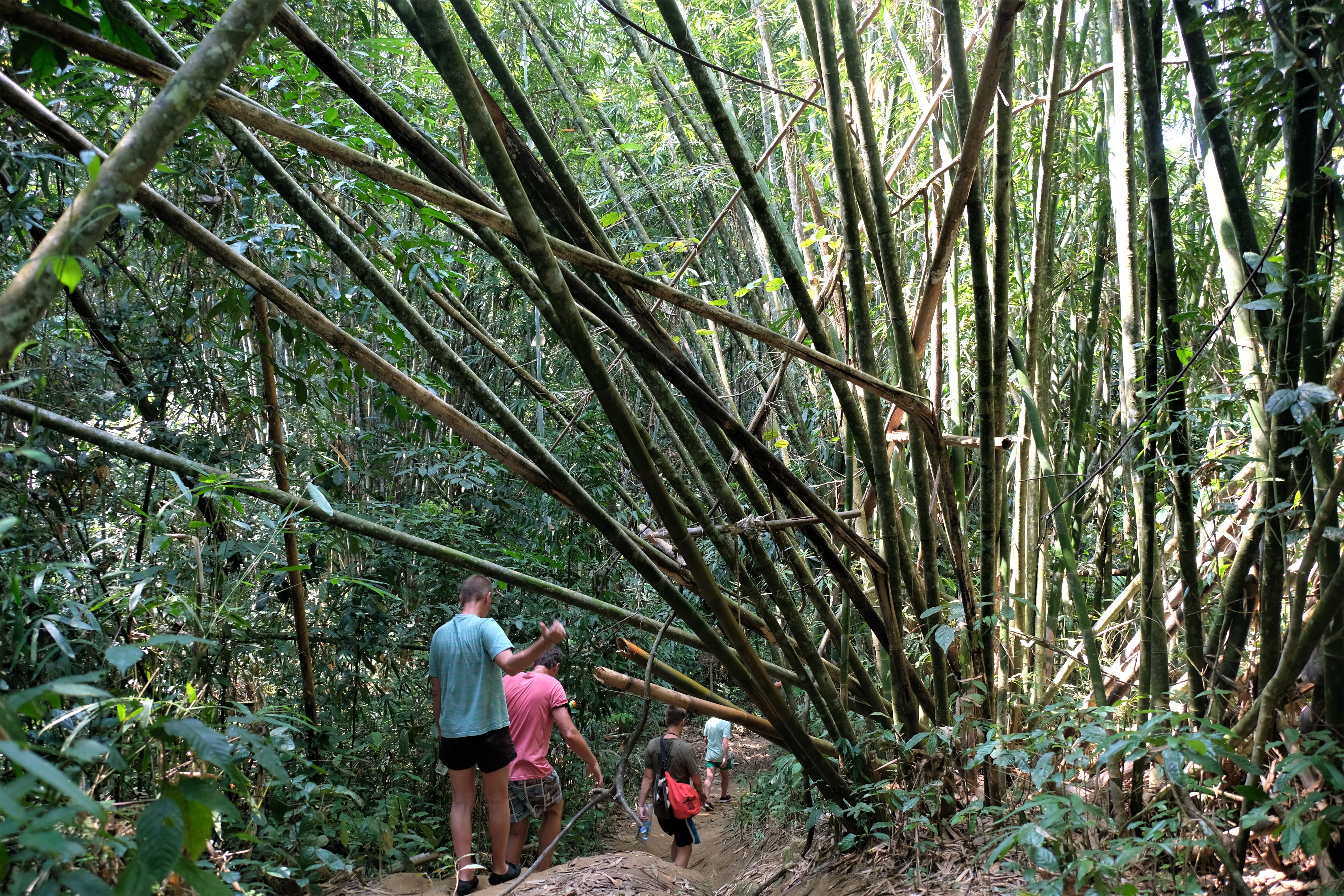 Khao Sok National Park