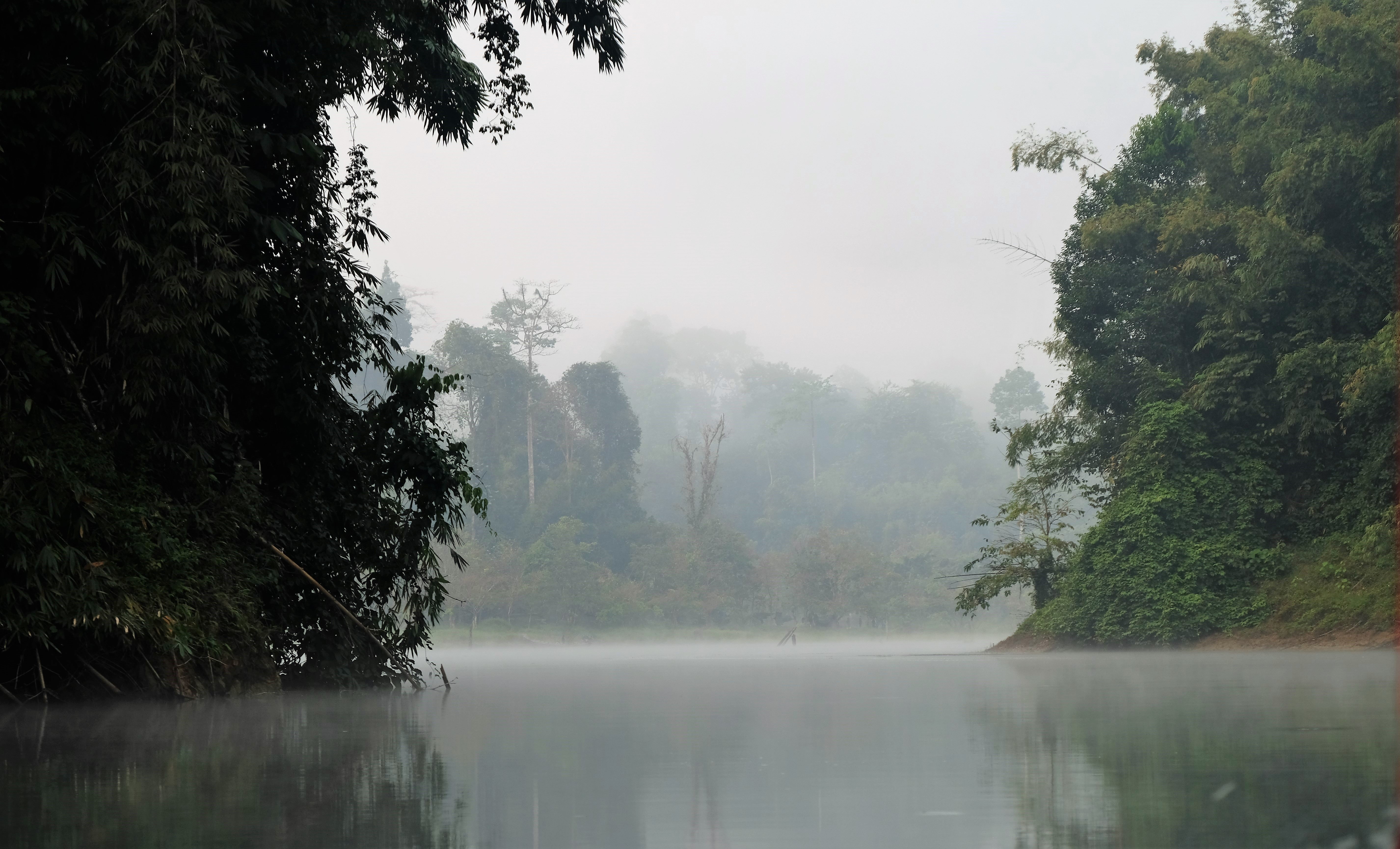 Khao Sok National Park