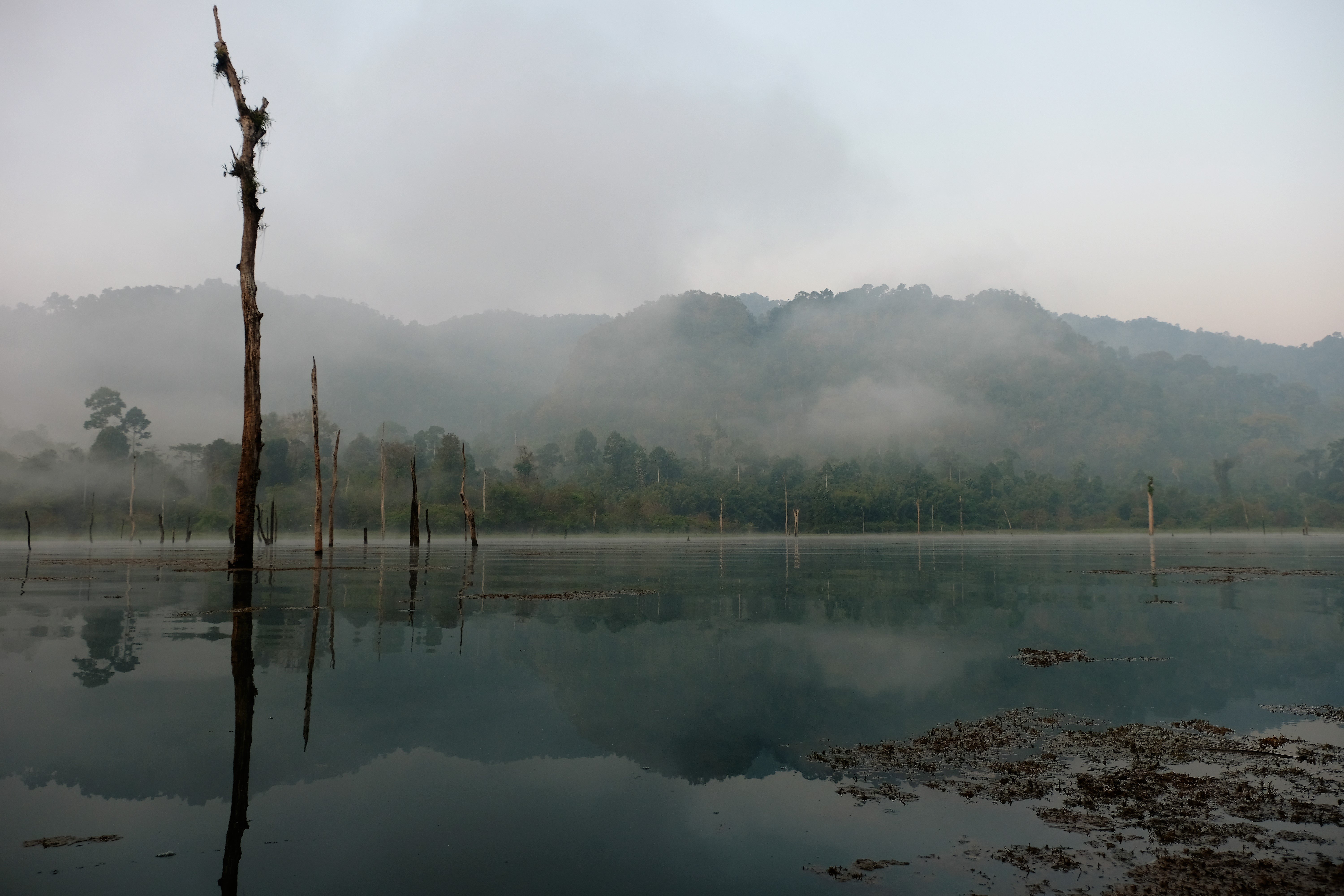 Khao Sok National Park