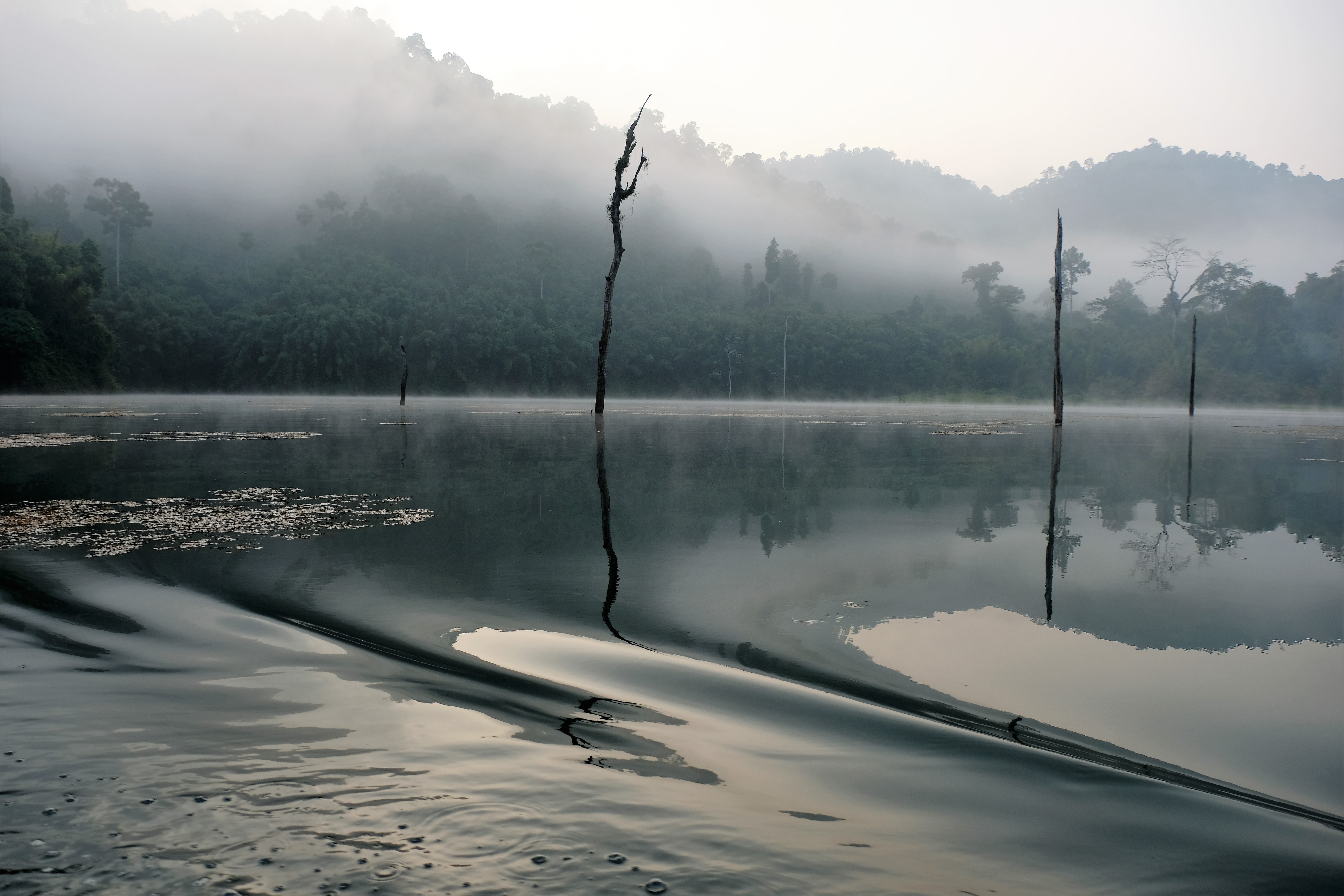 Cheow Lan Lake