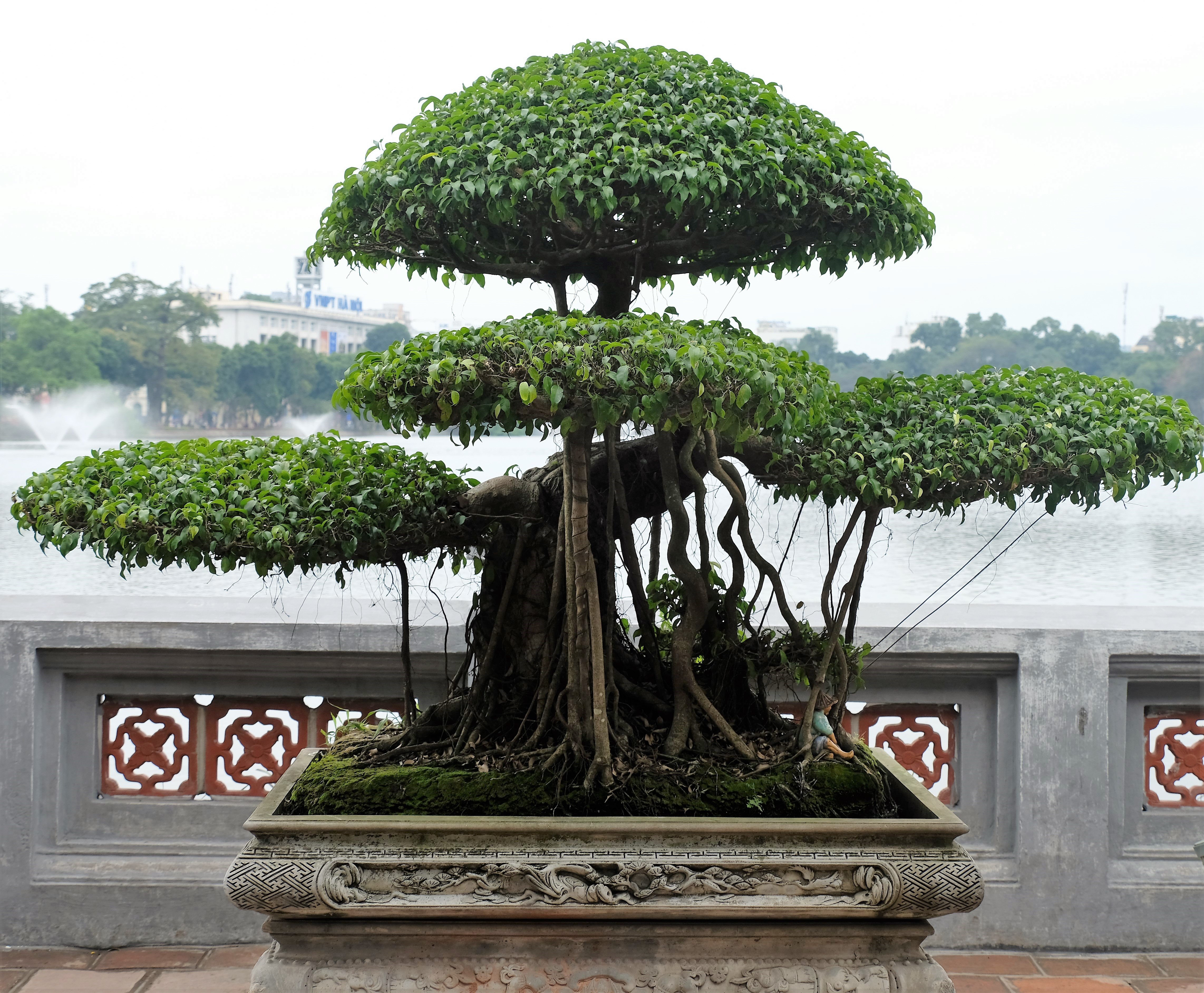 Temple of the Jade Mountain