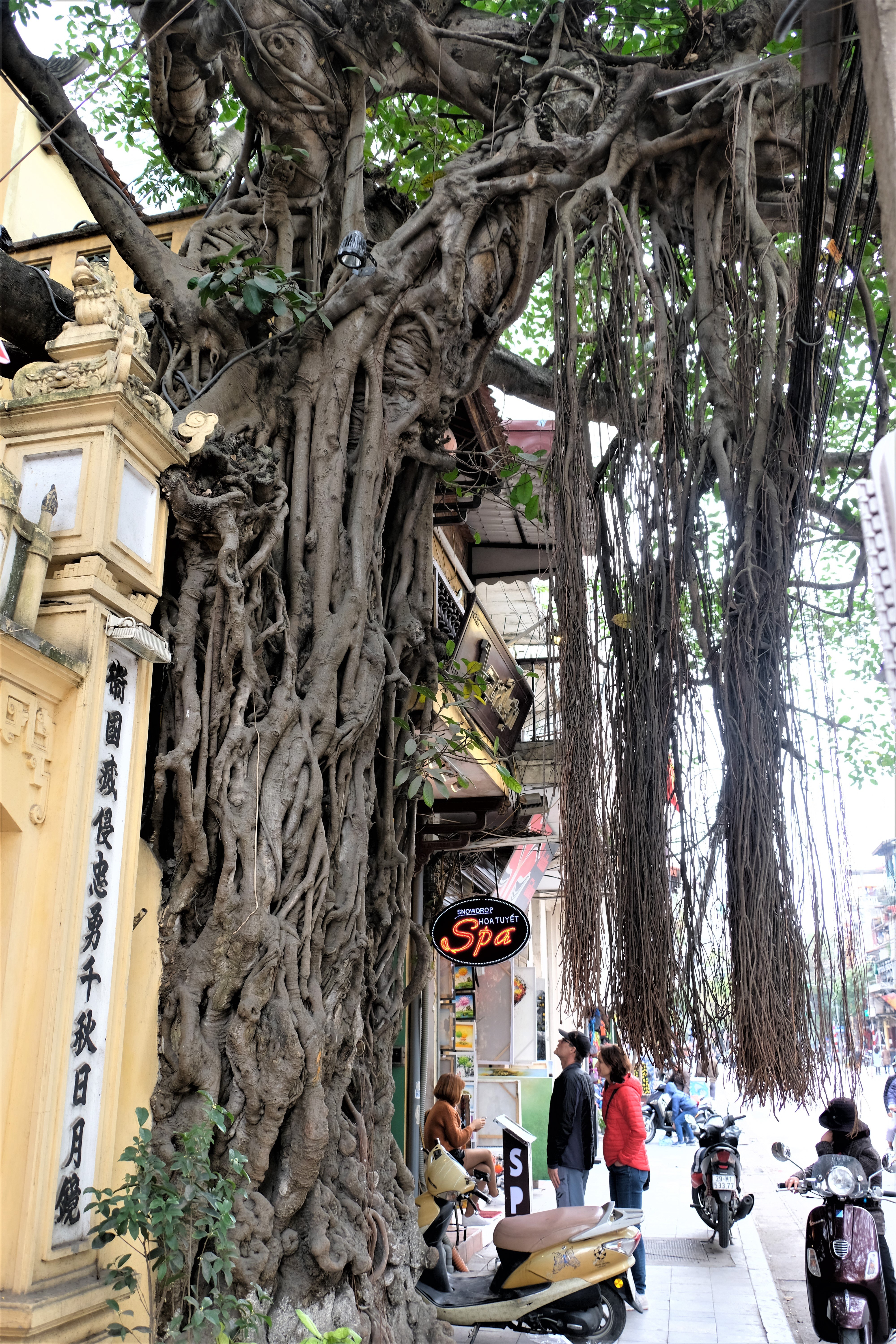 Hanoi