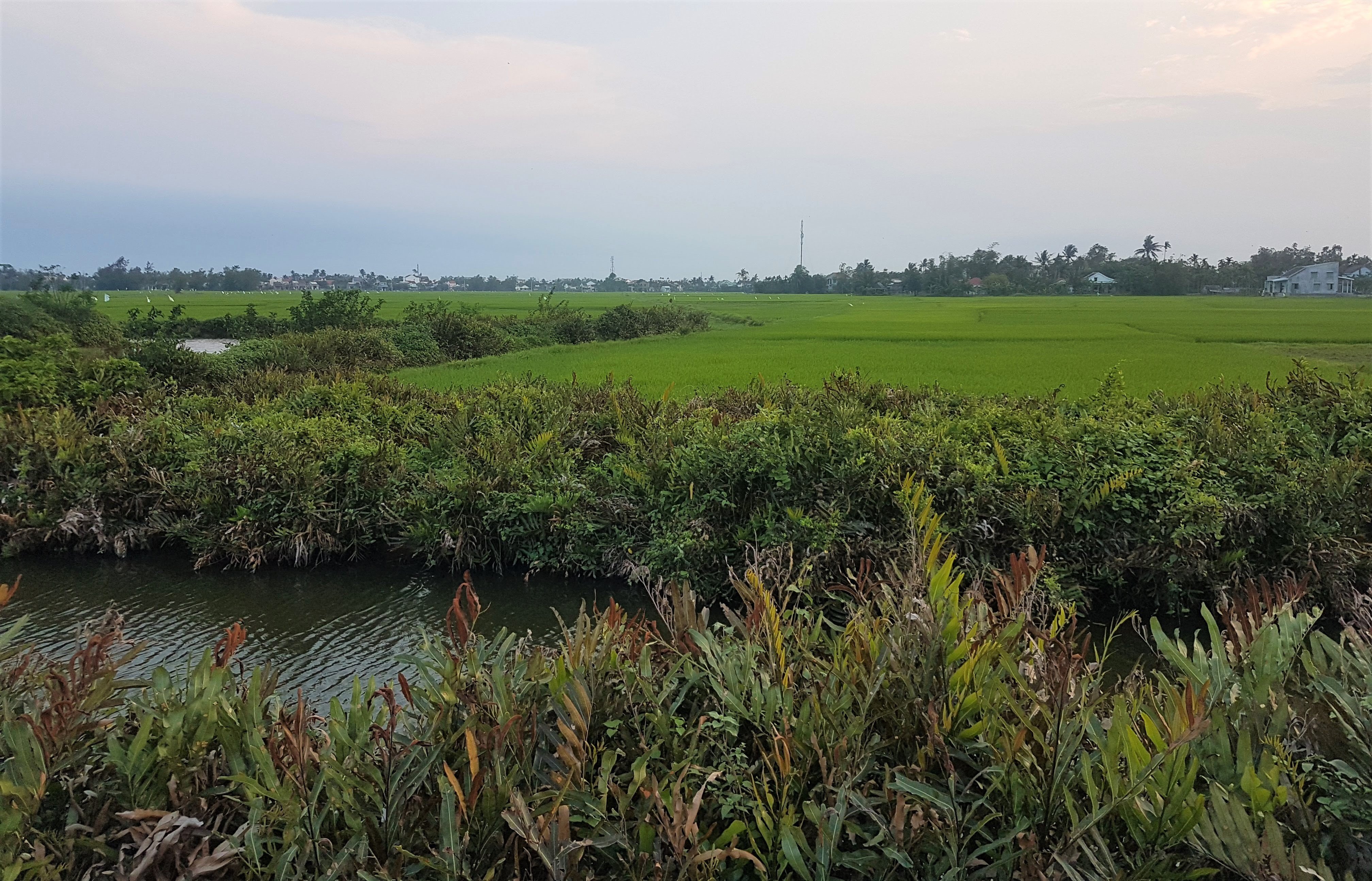 Hoi An