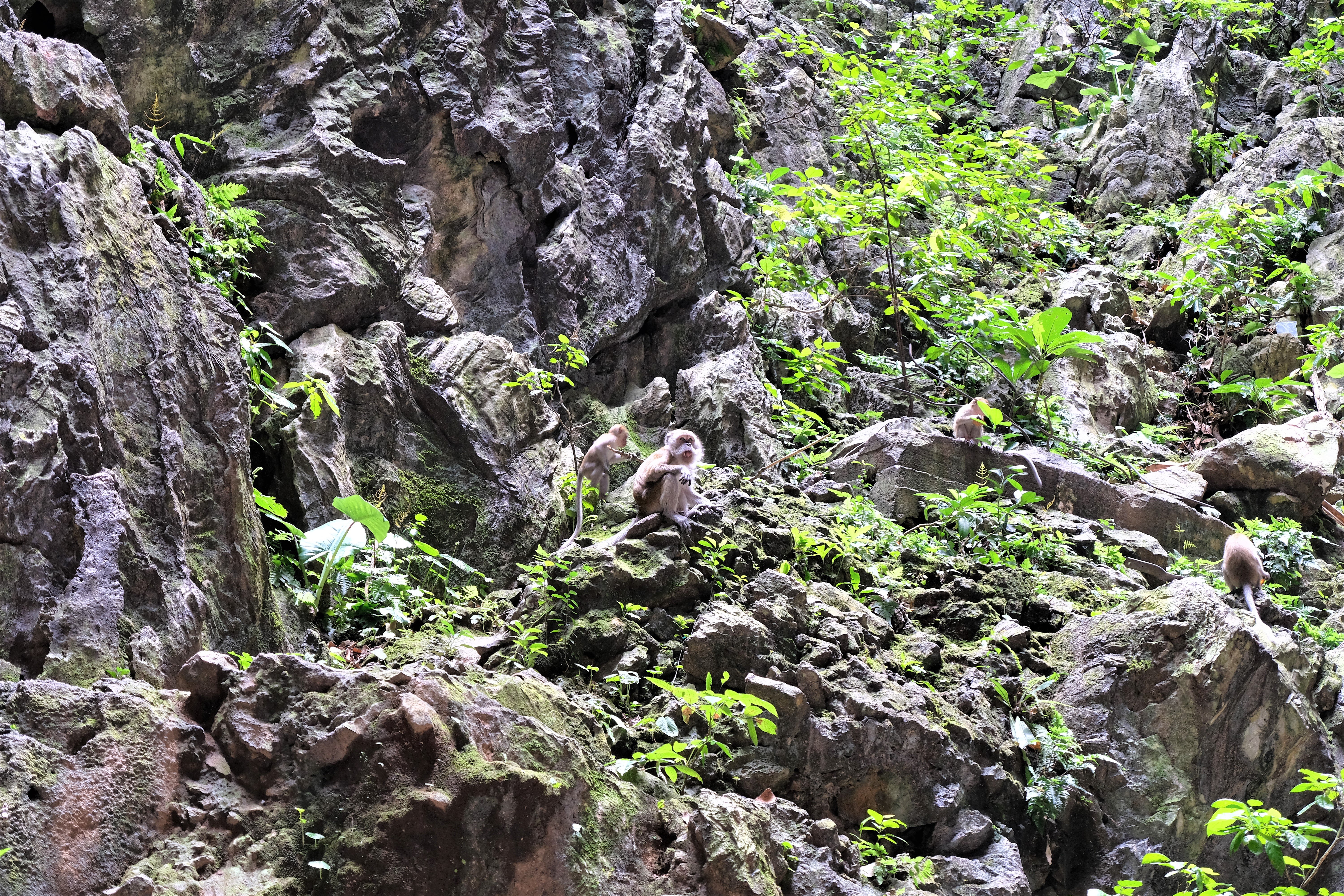 Batu Caves