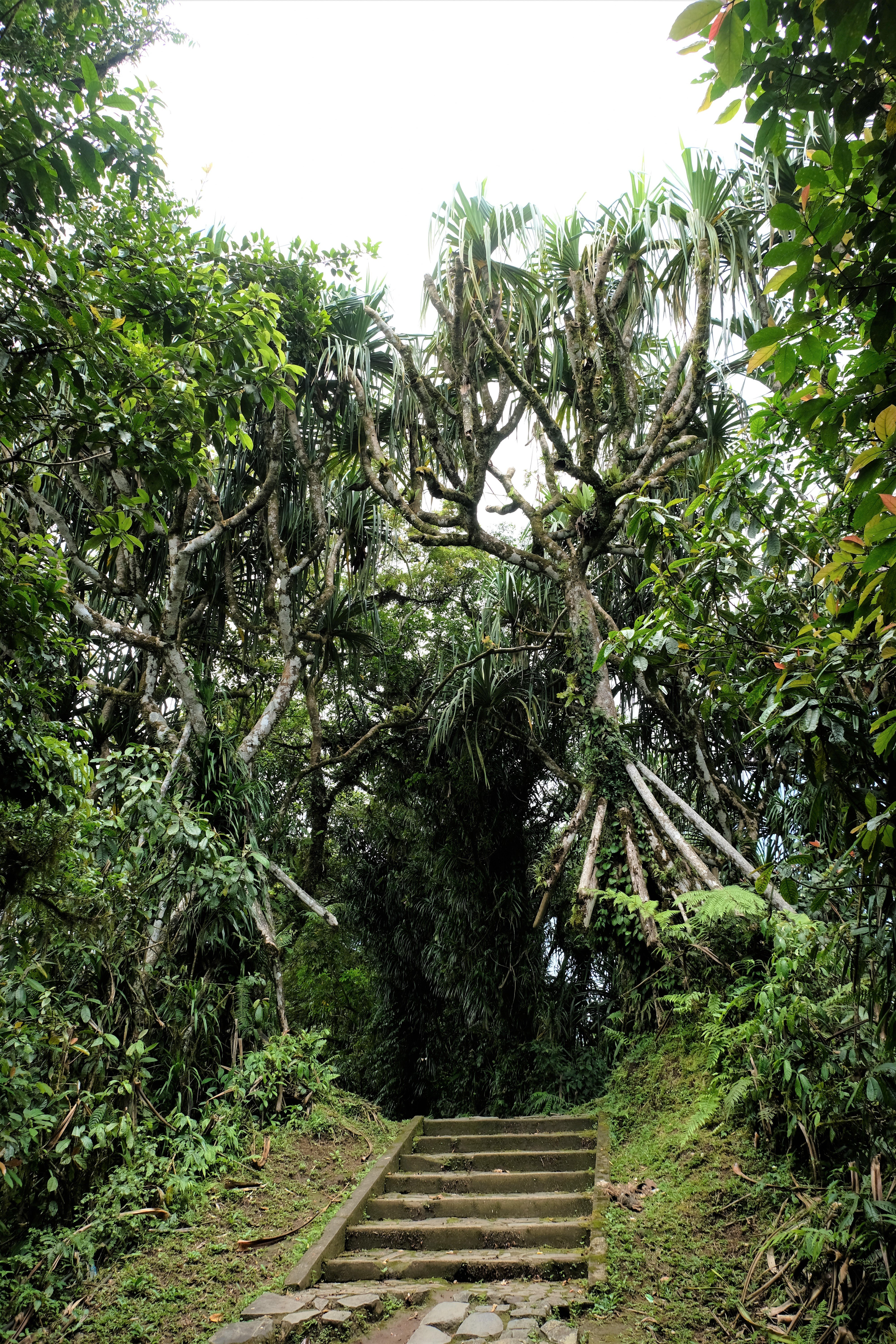 Mount Lempuyang