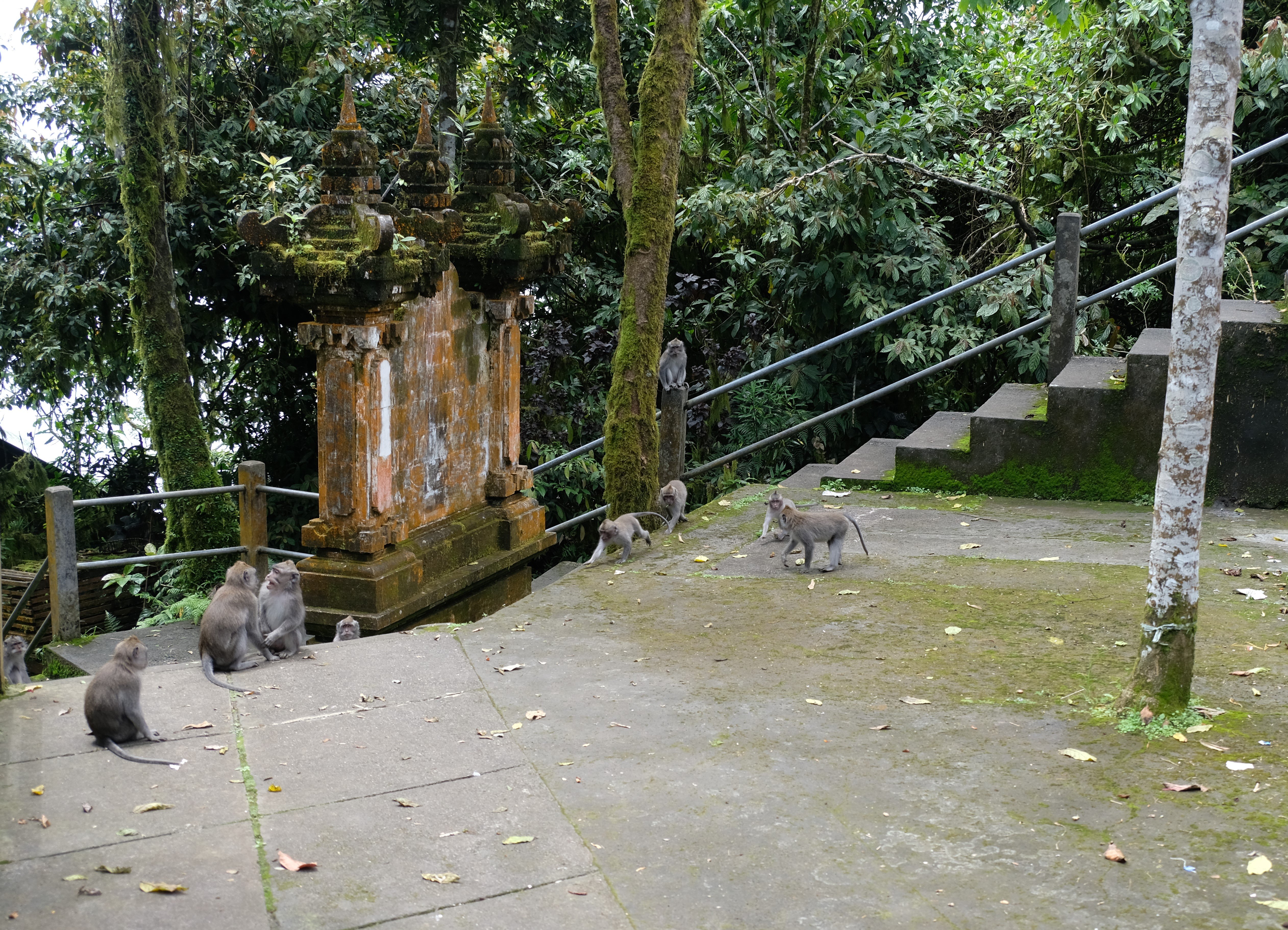 Mount Lempuyang