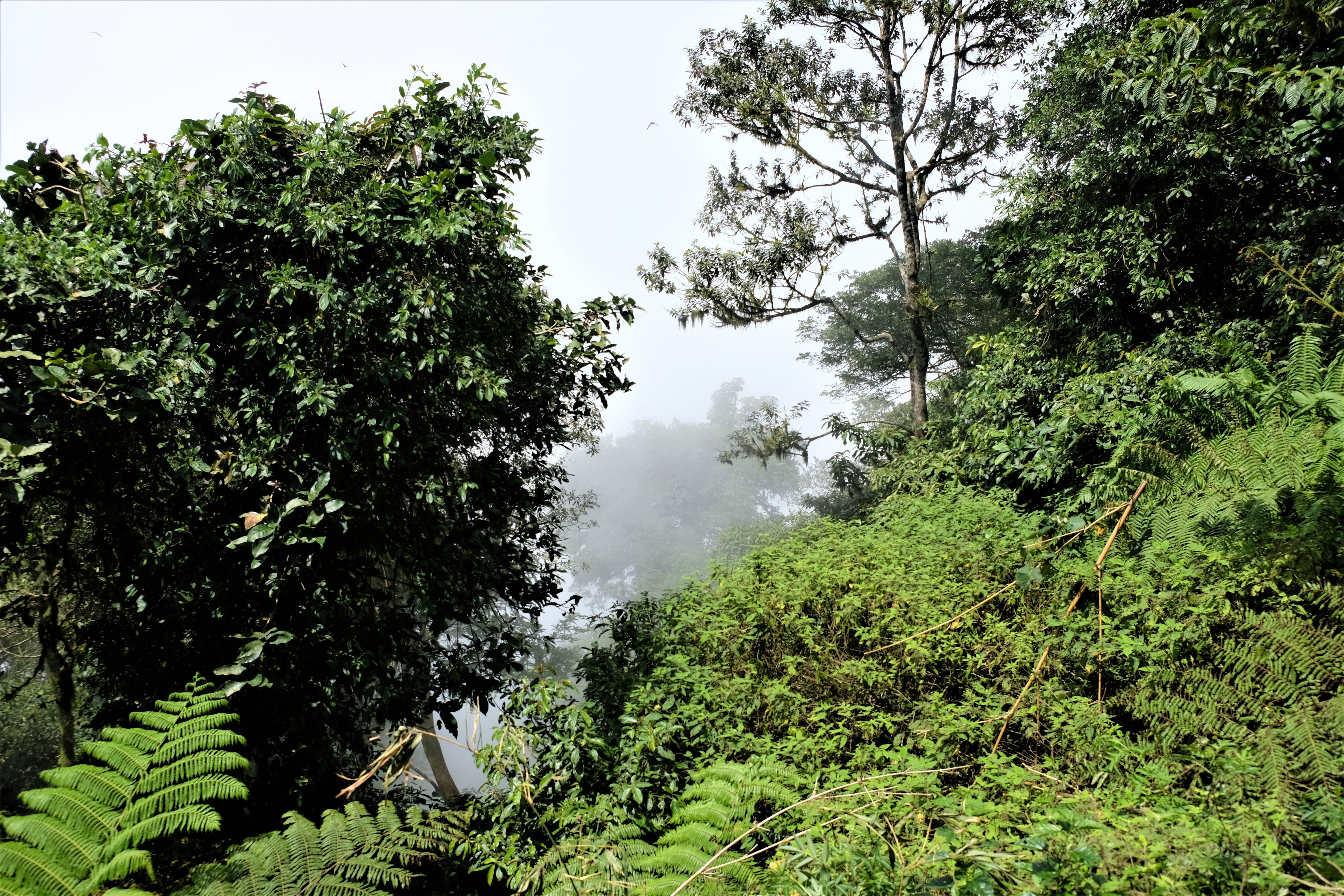 Mount Lempuyang