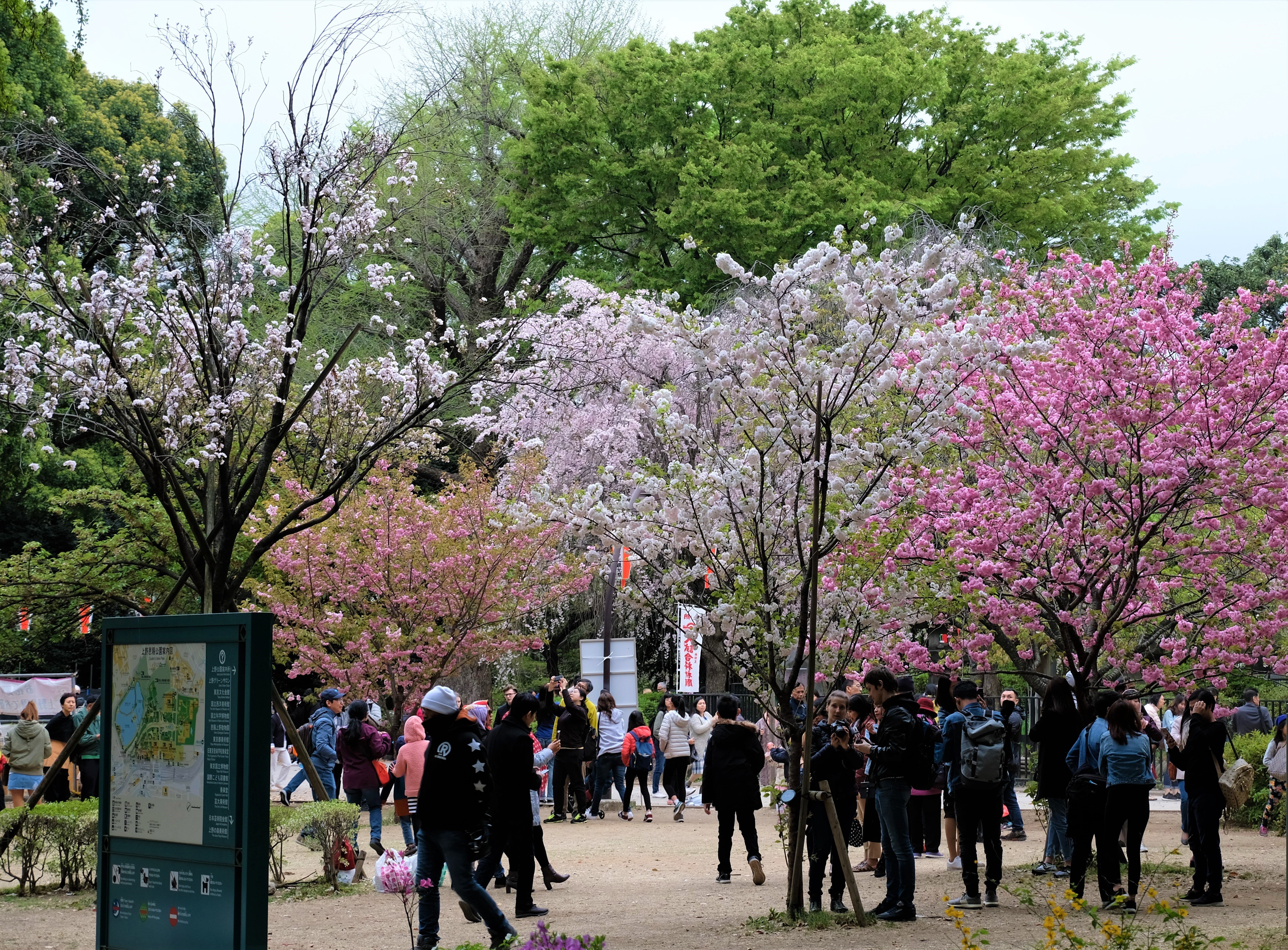 Ueno Park