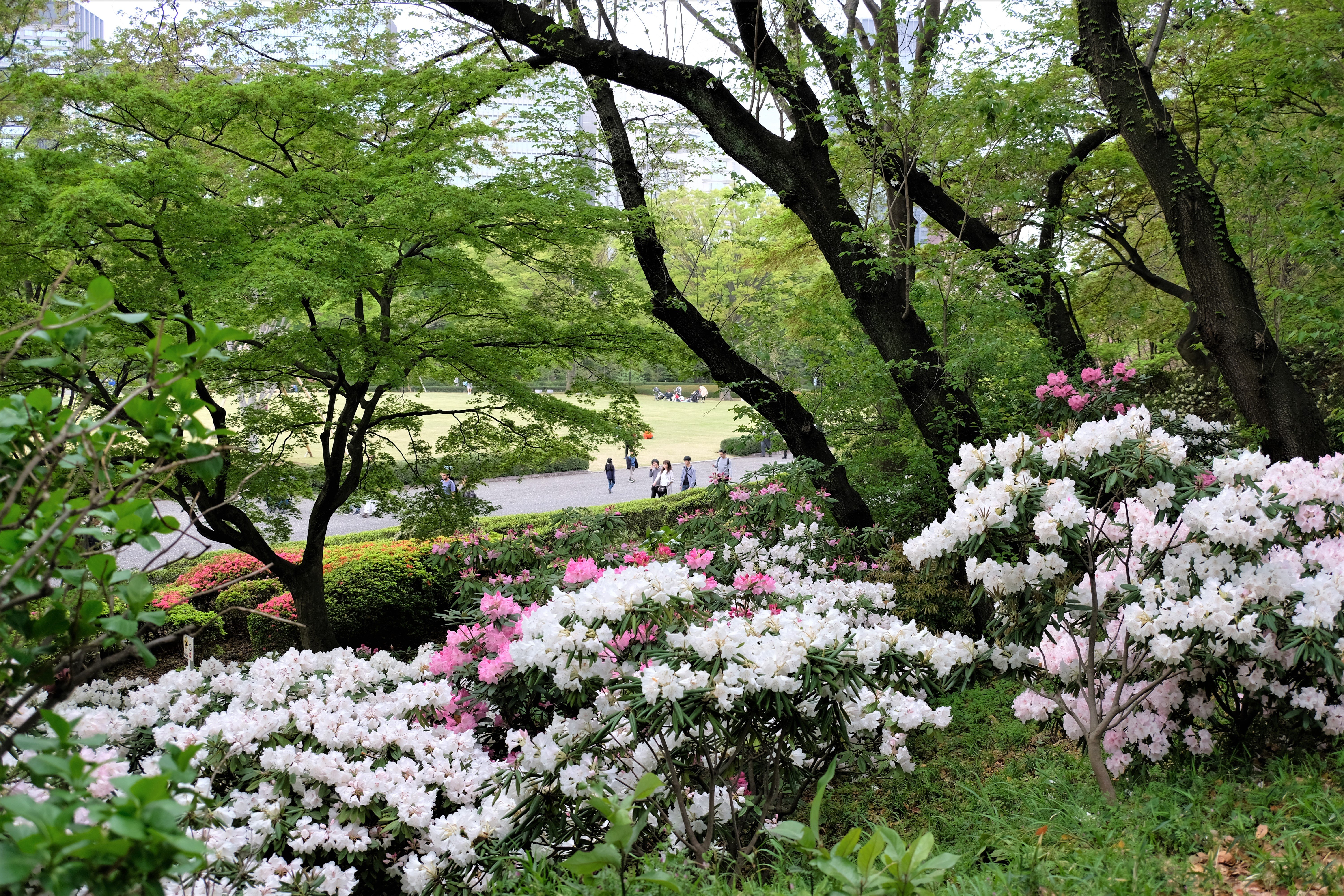 Edo Castle