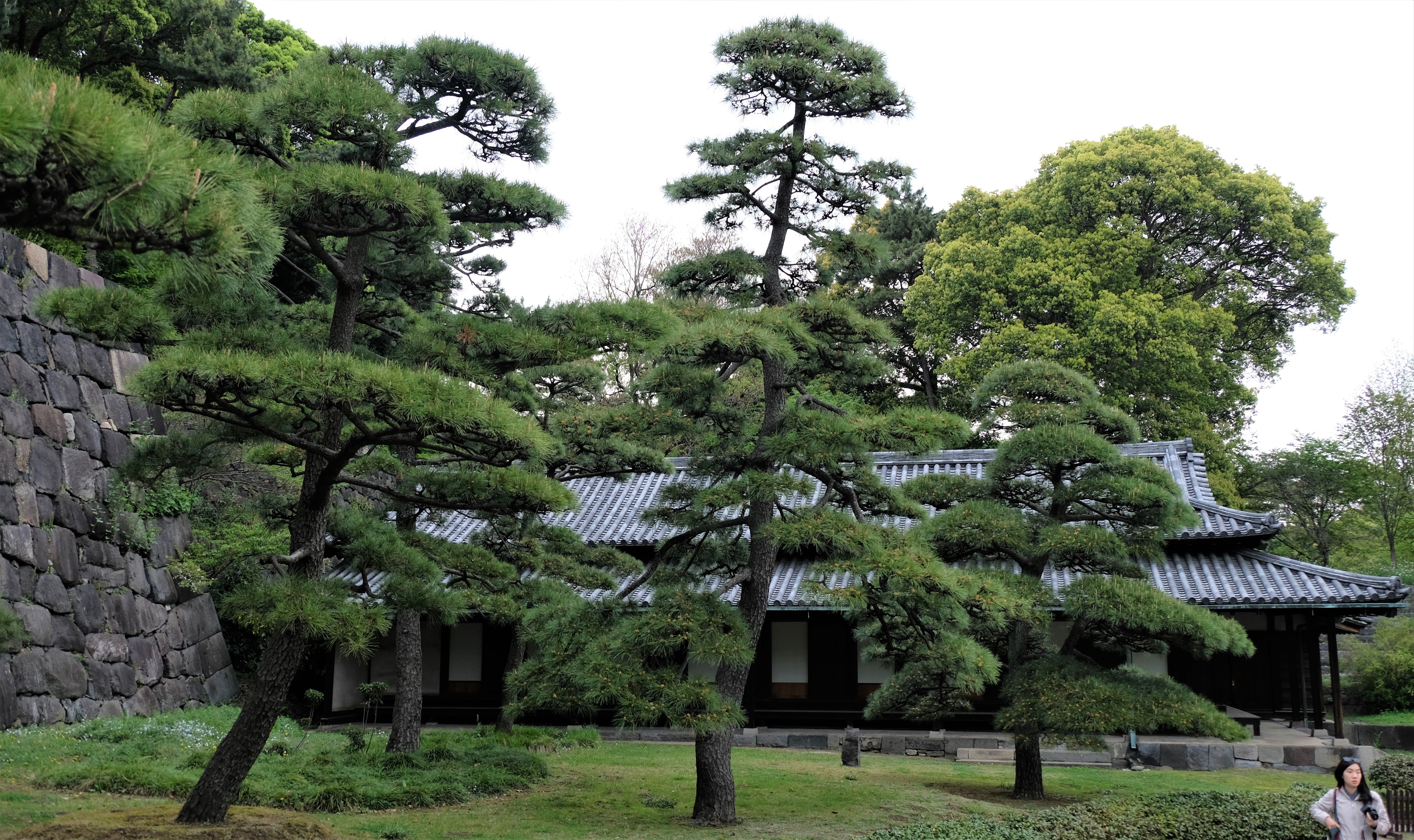 Edo Castle