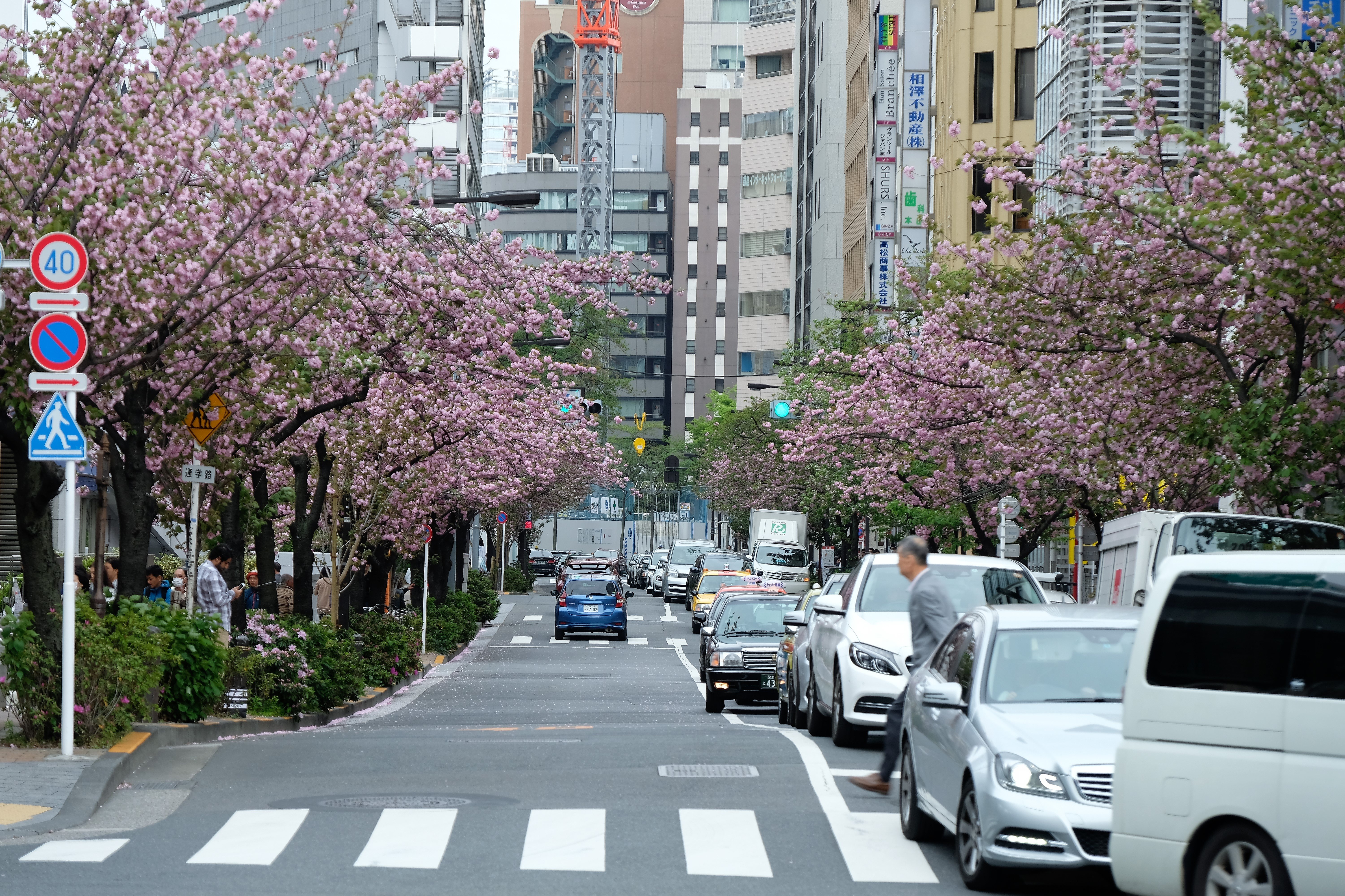 Tokyo