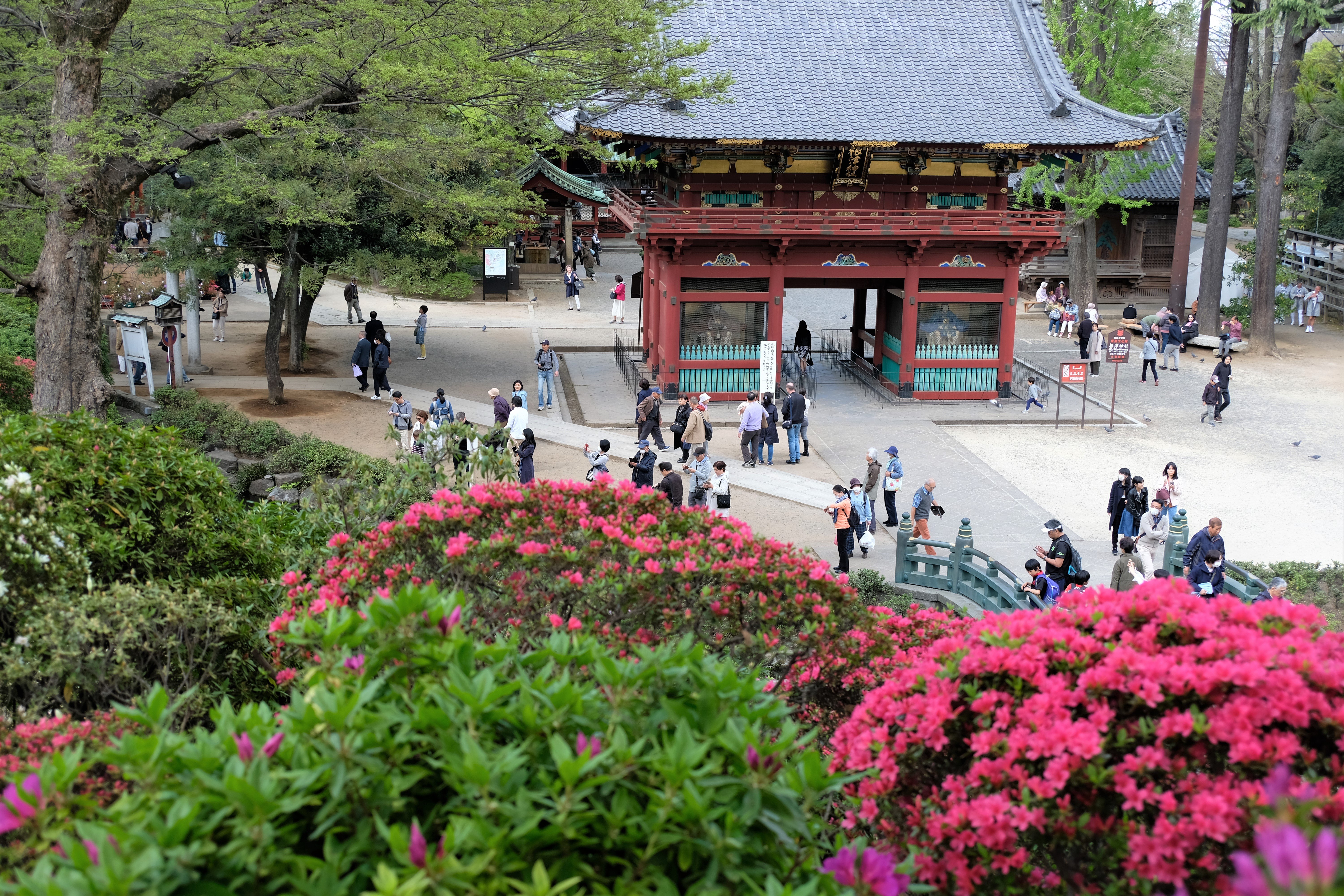 Nezu Shrine