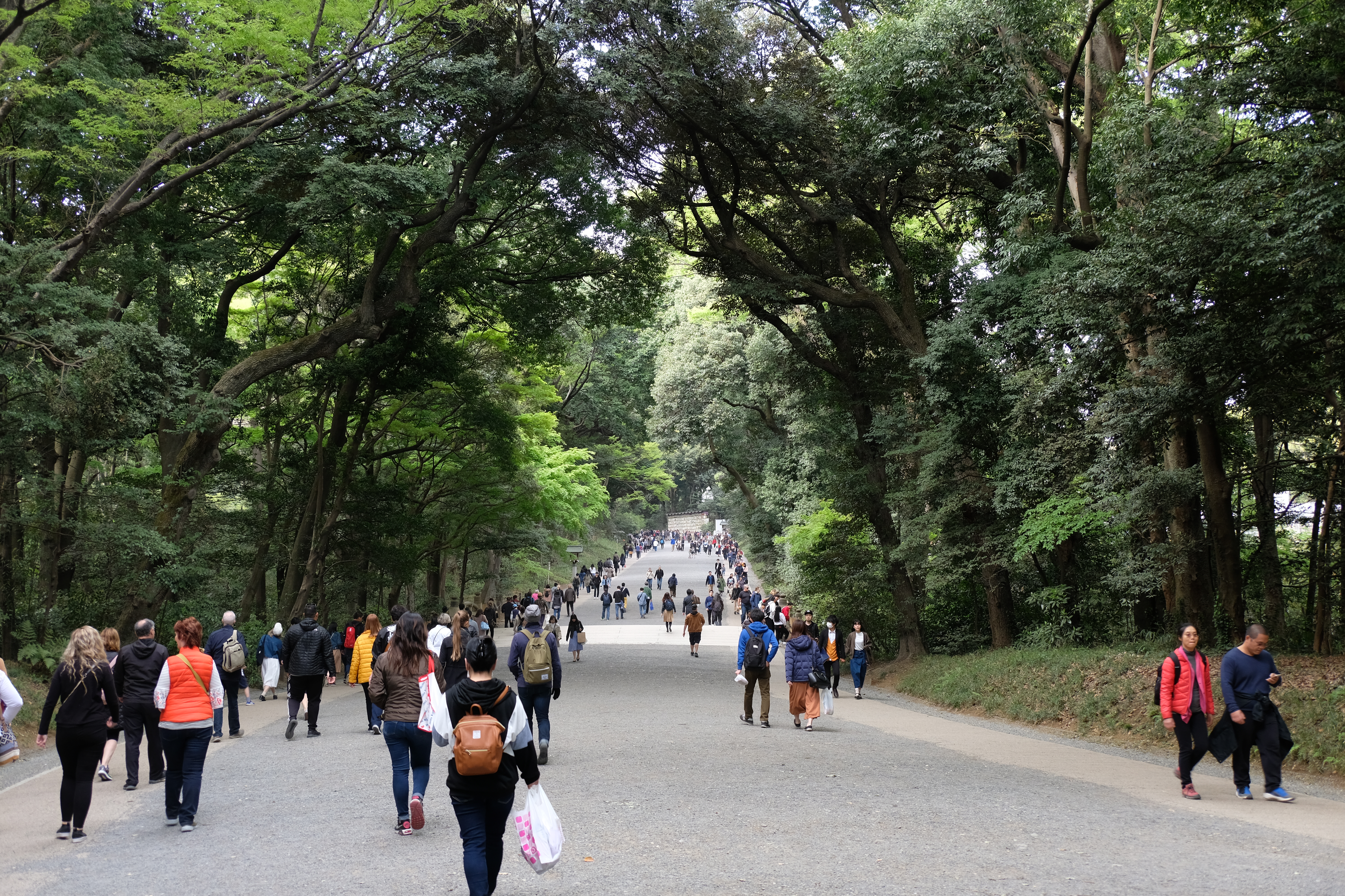 Yoyogi Park