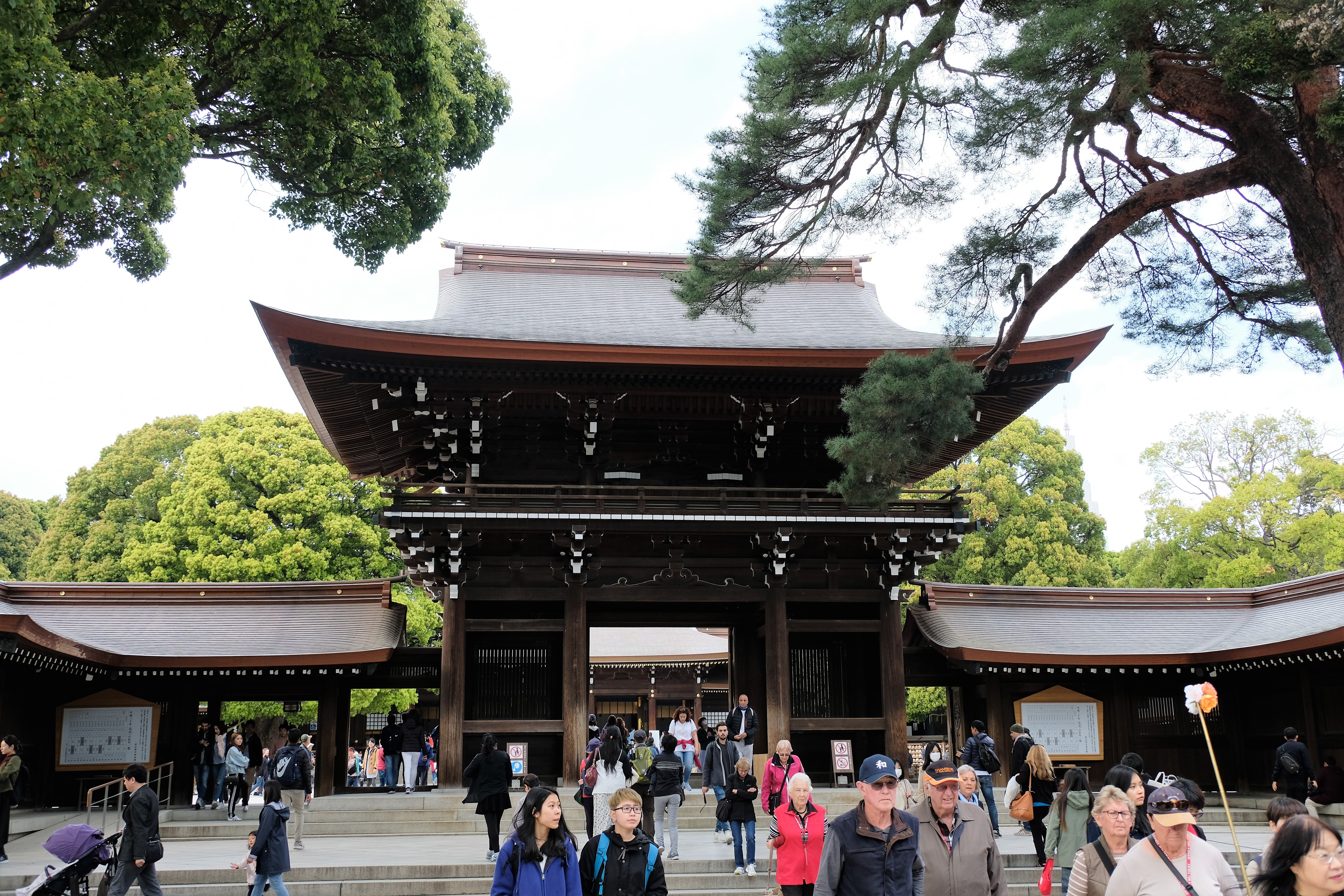 Meiji Shrine