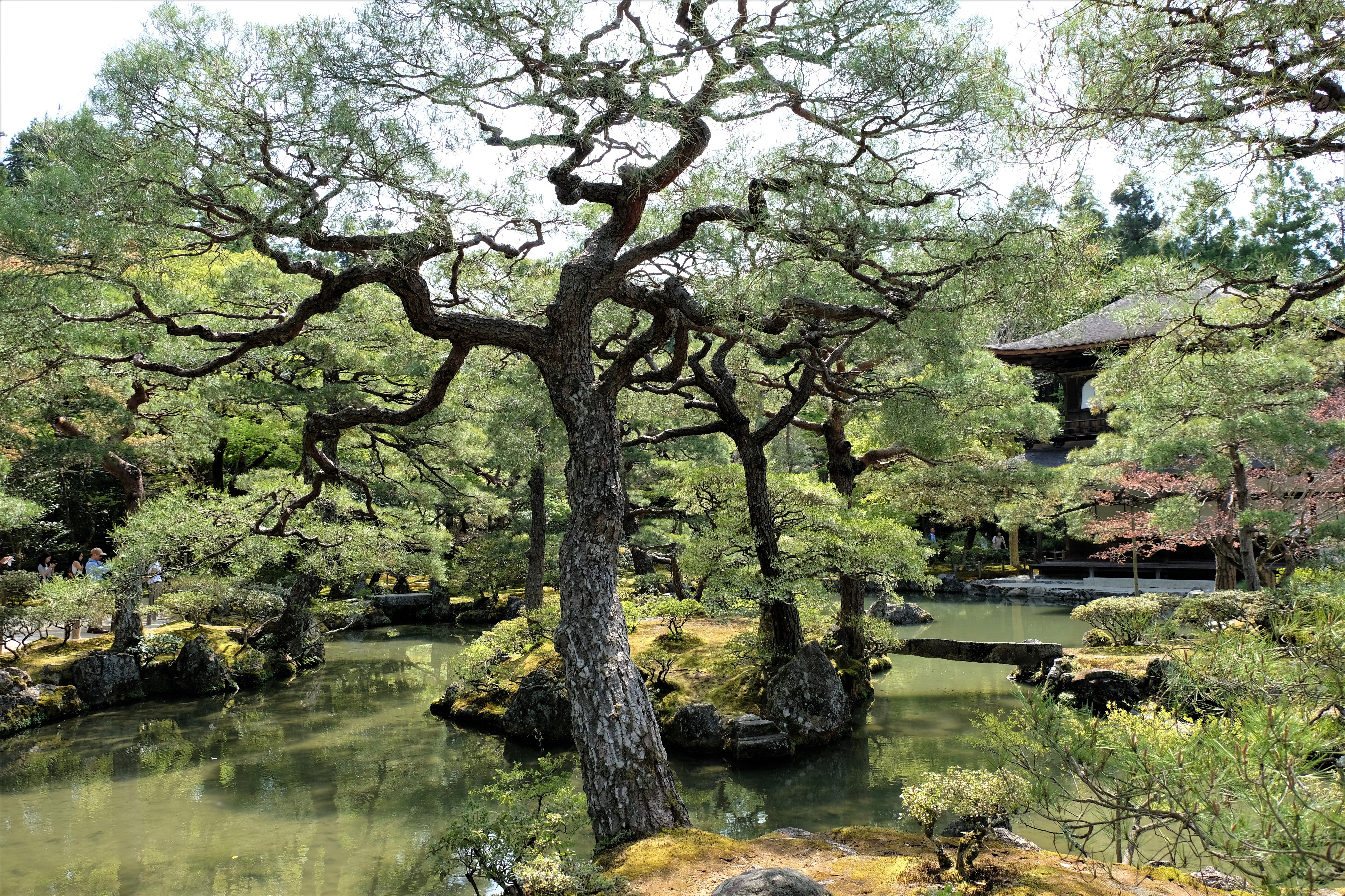 Temple of the Silver Pavilion