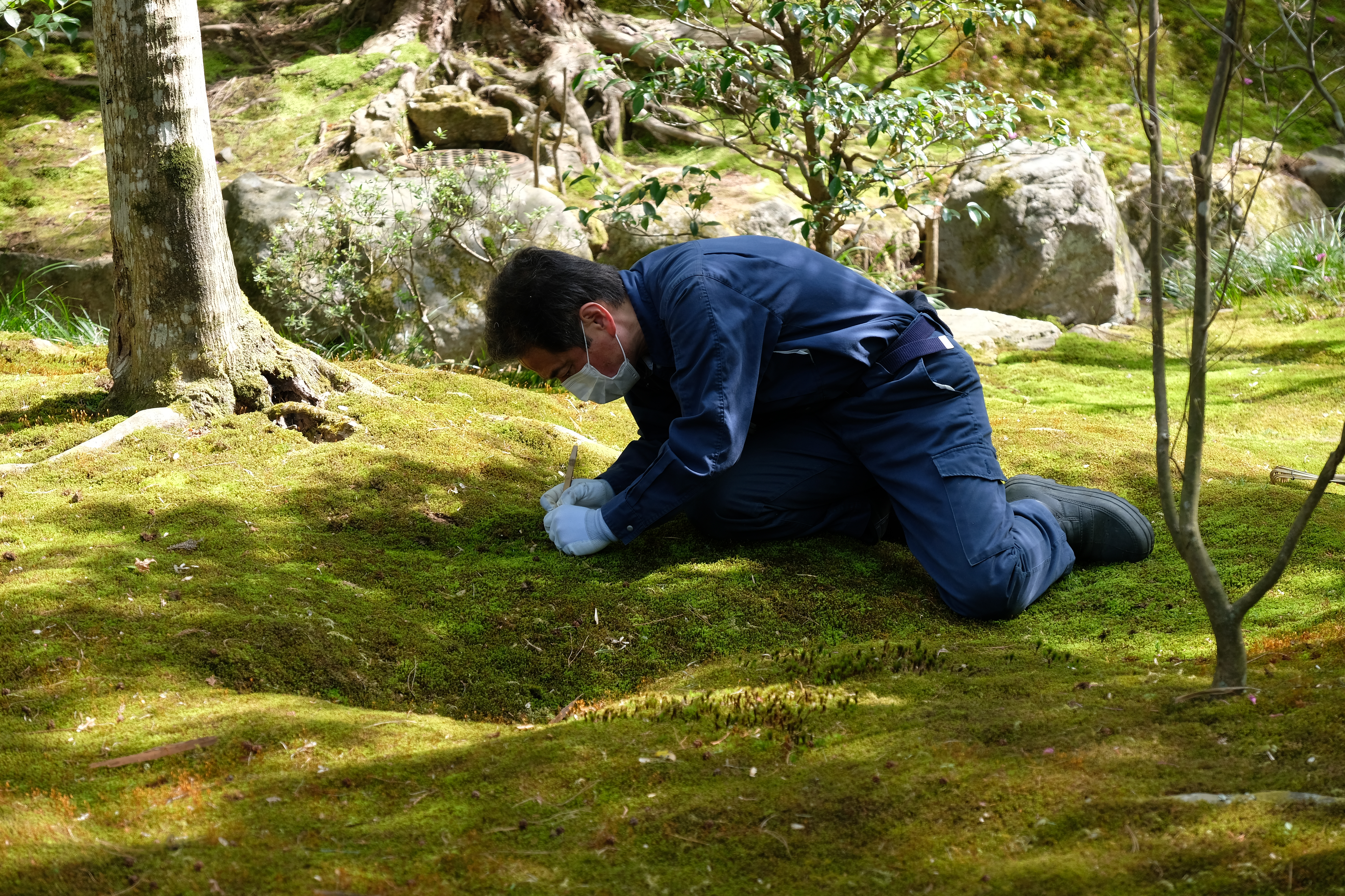 Ginkaku-ji