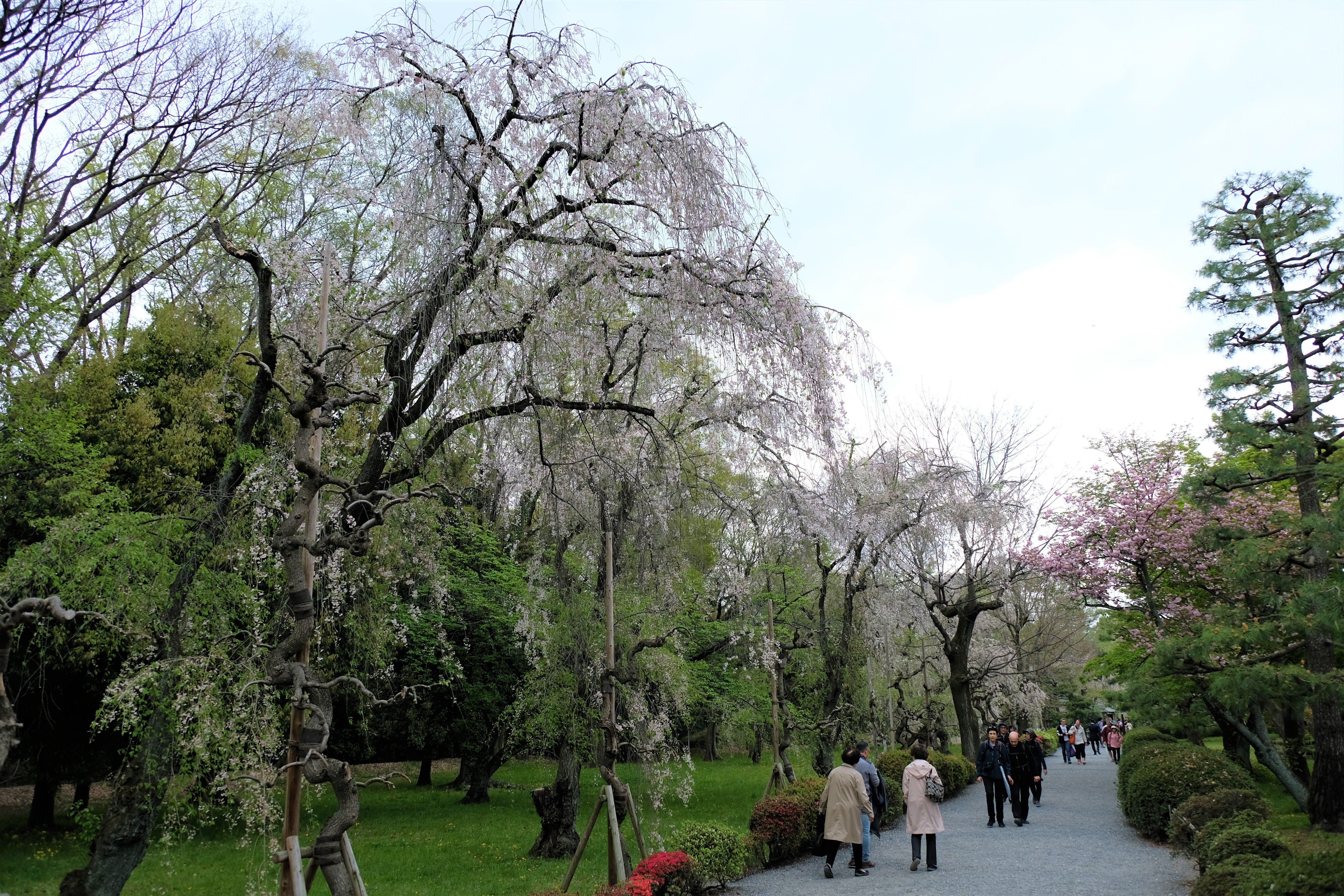 Nijo Castle