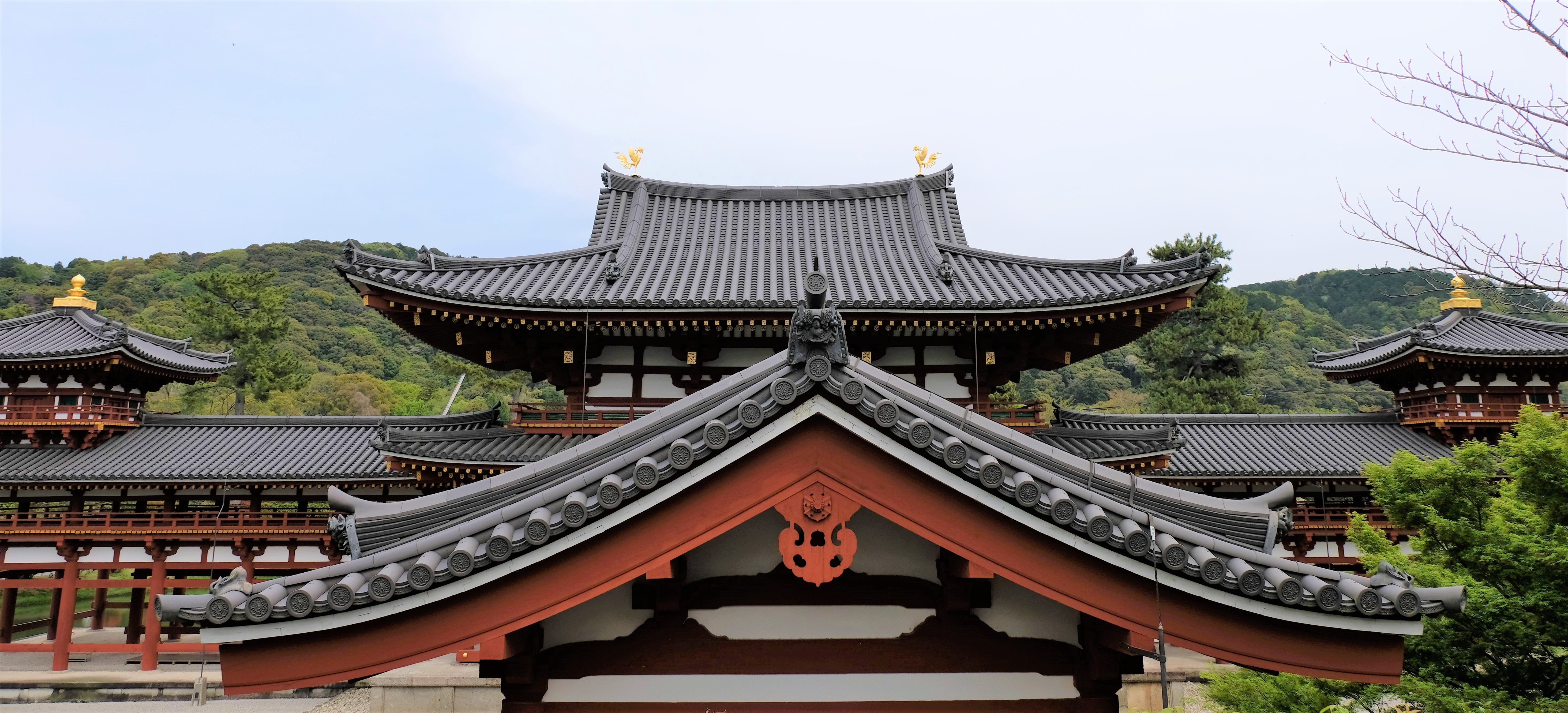 Byodo-in