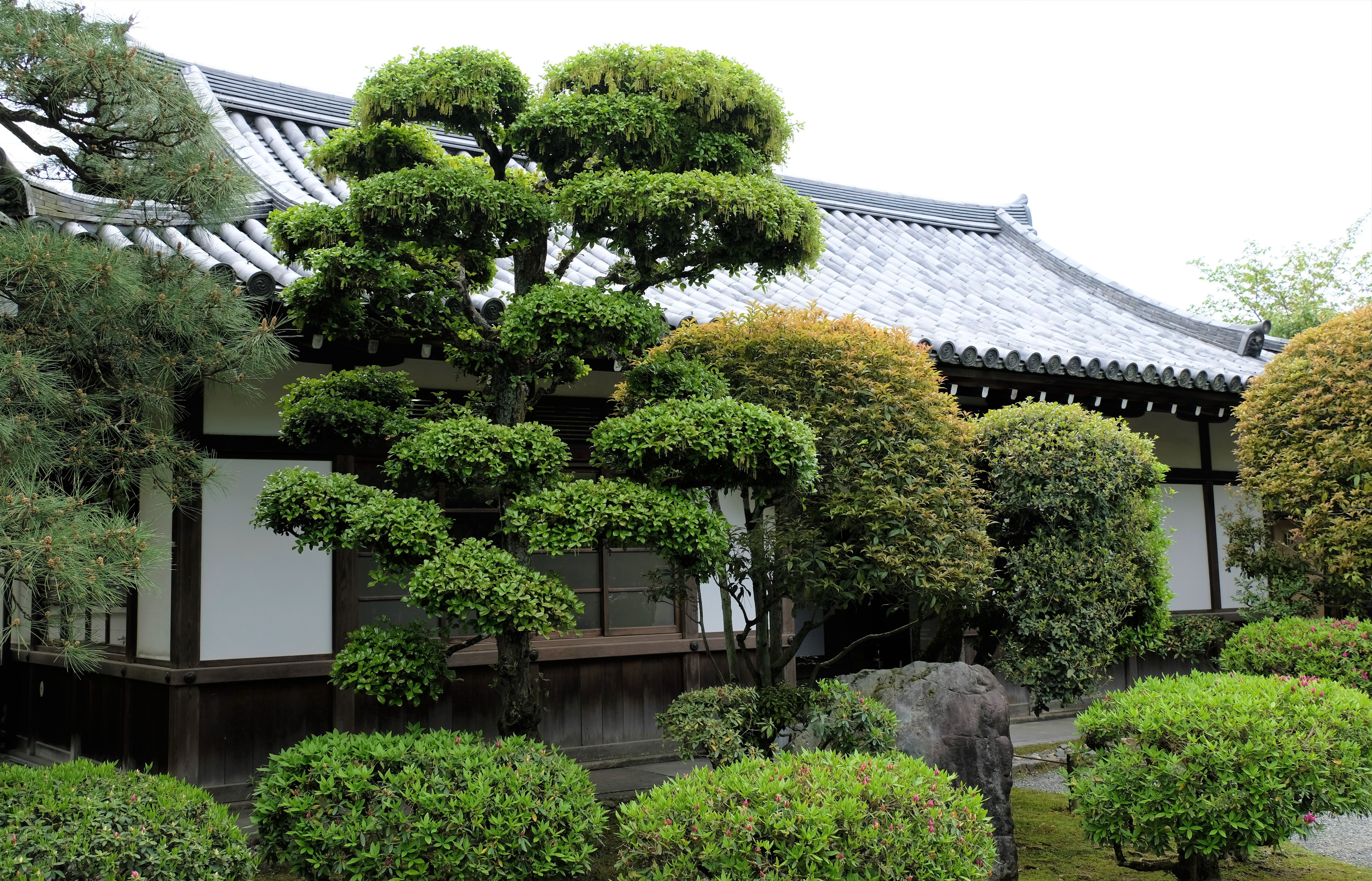 Byodo-in