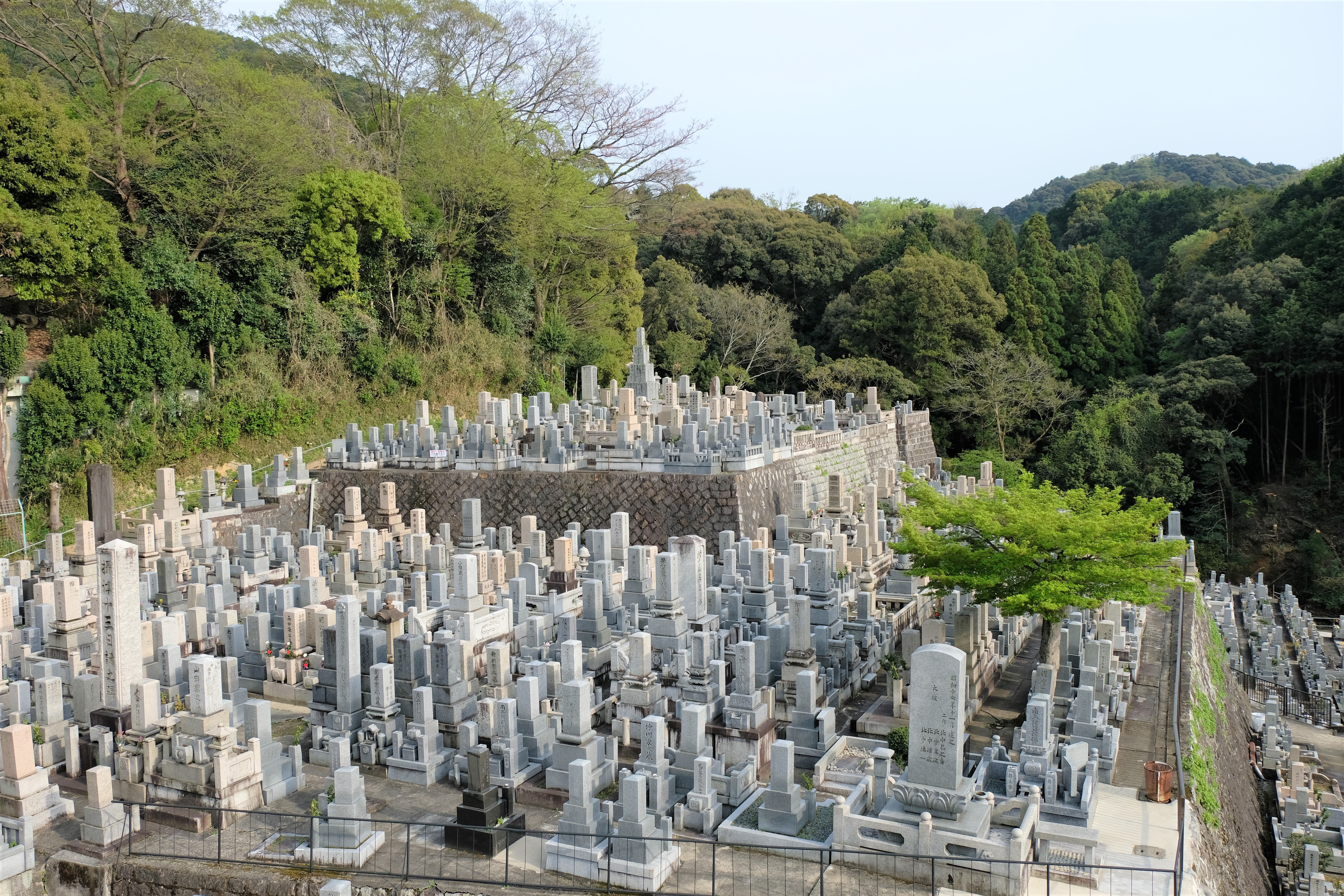 Otani Cemetery