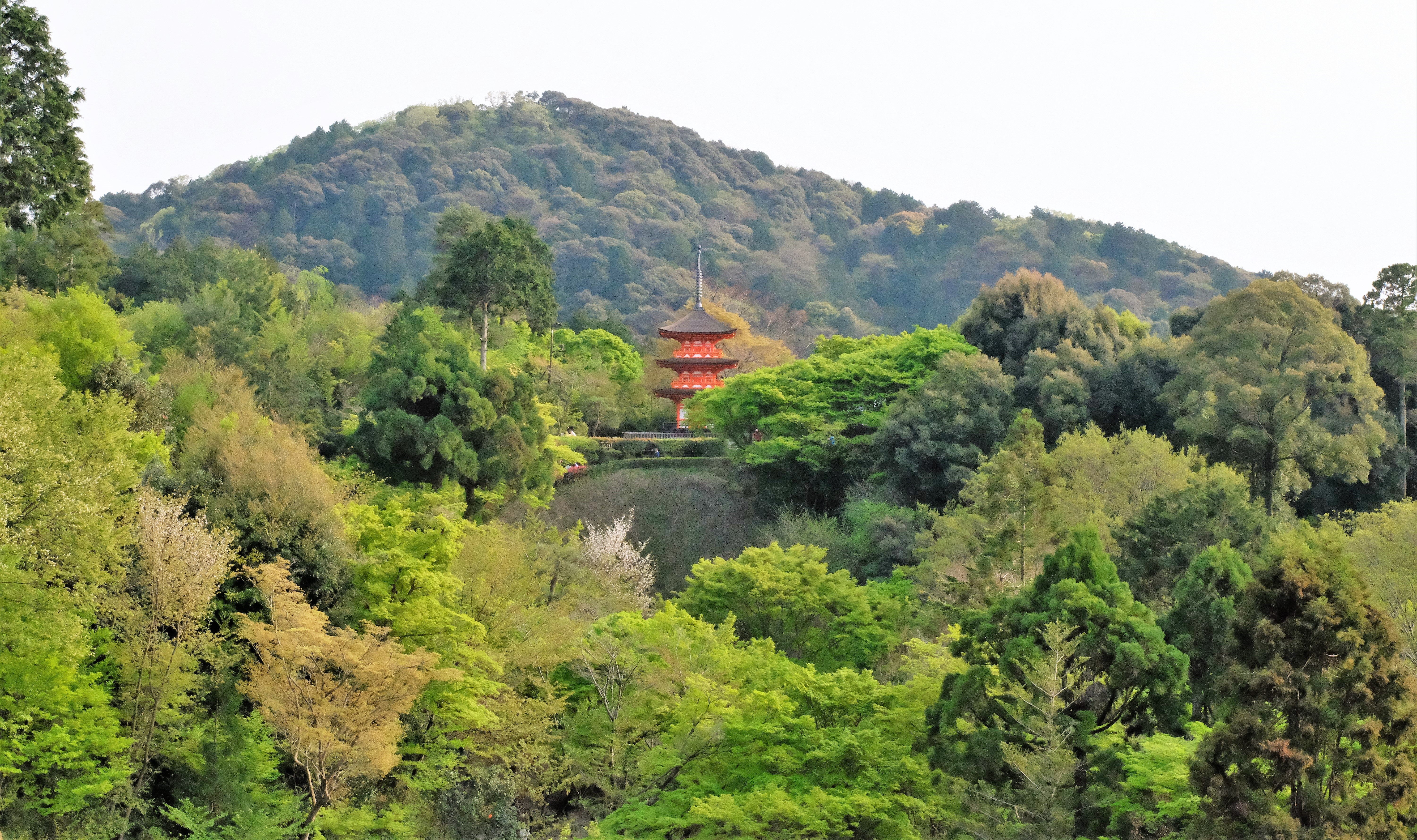 Kiyomizu-dera