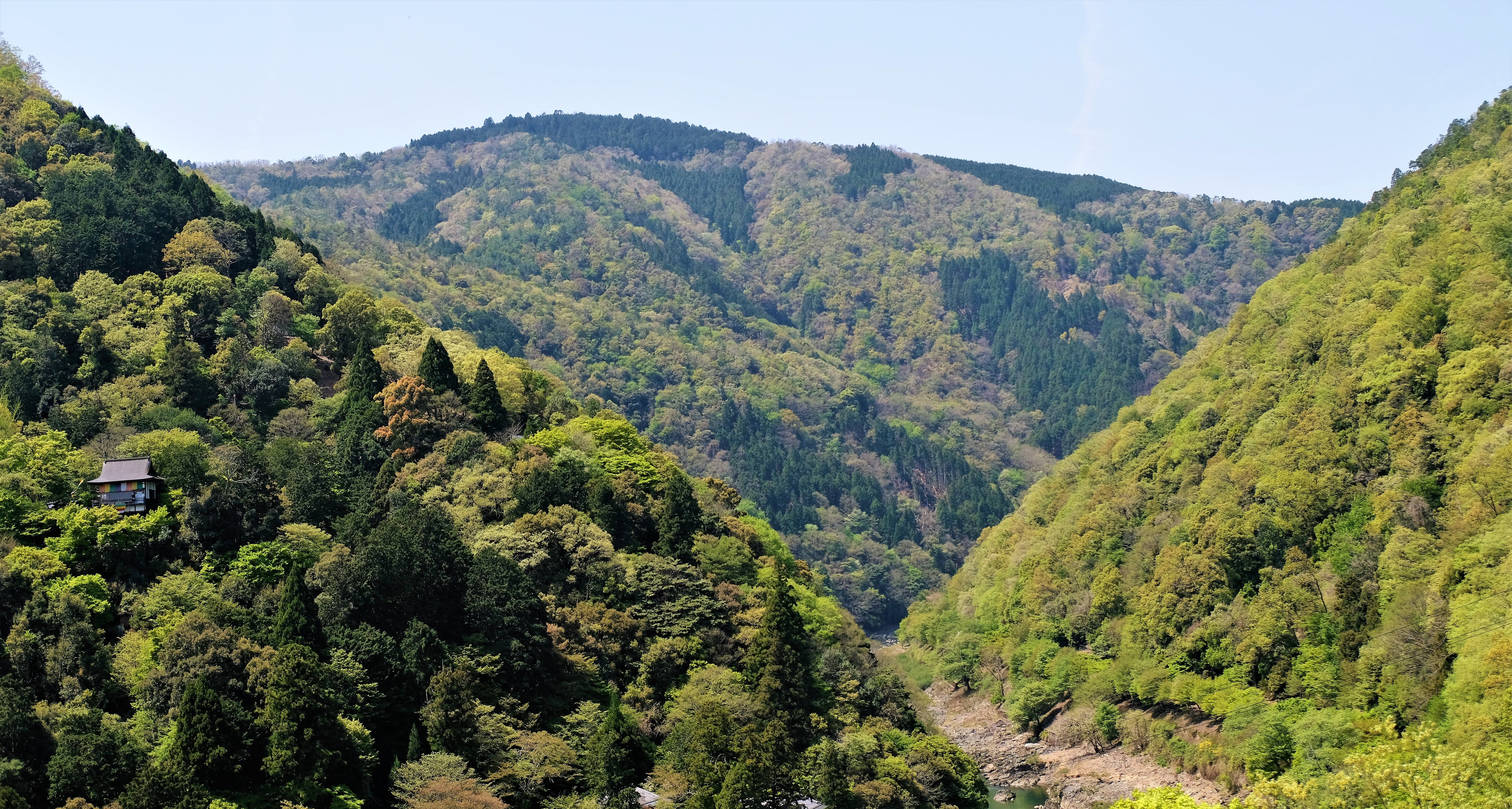 Arashiyama