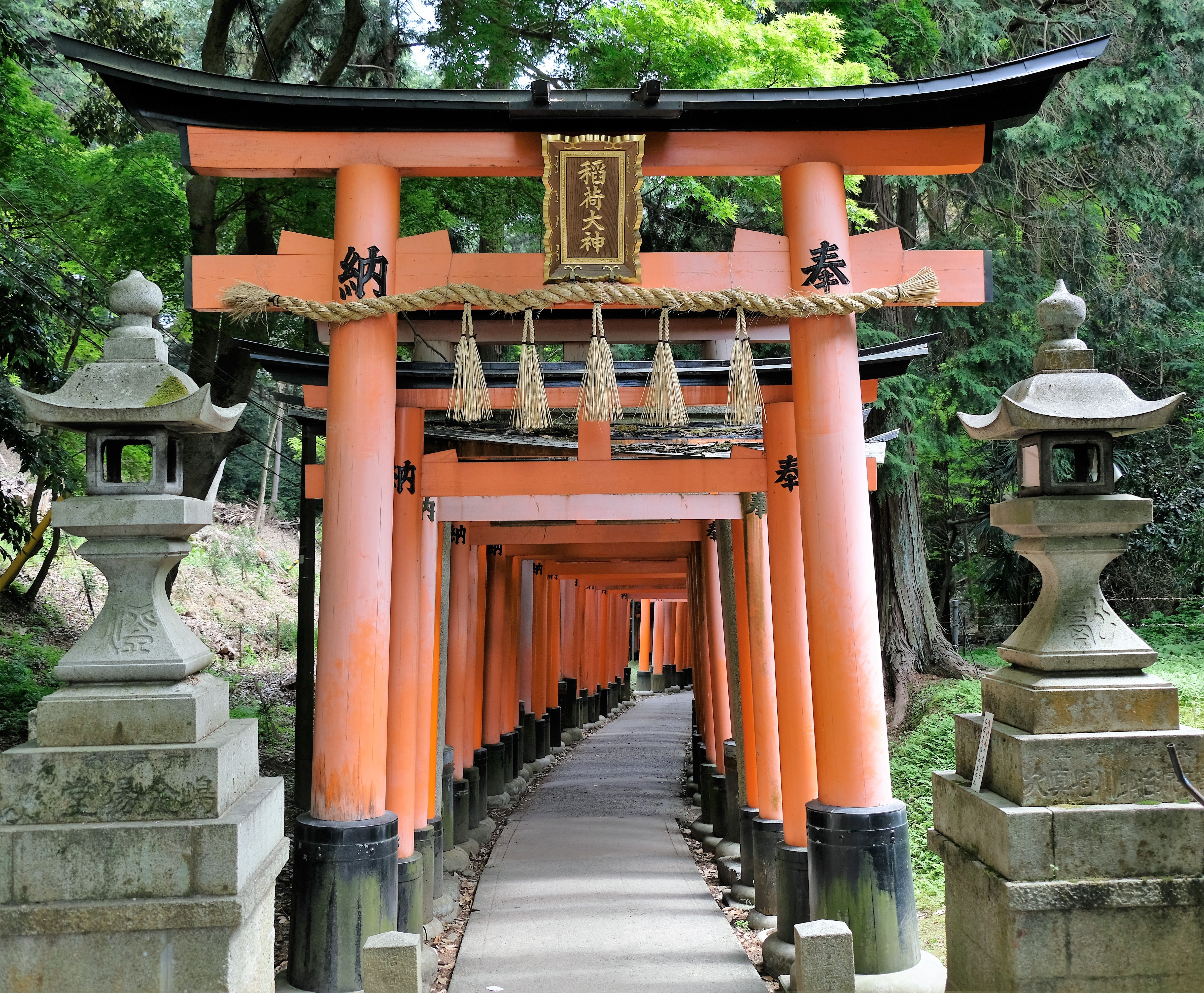 Fushimi Inari Taisha