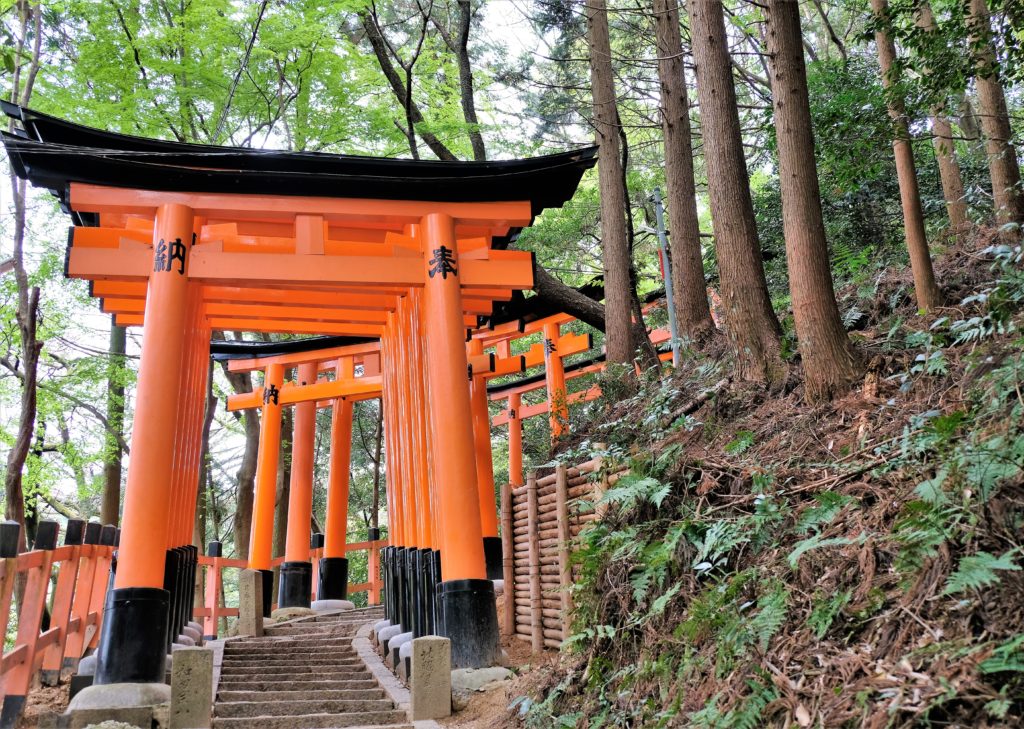 Kyoto - Bamboo Forest, Kinkaku-ji, Fushimi Inari Taisha ~ Batnomad