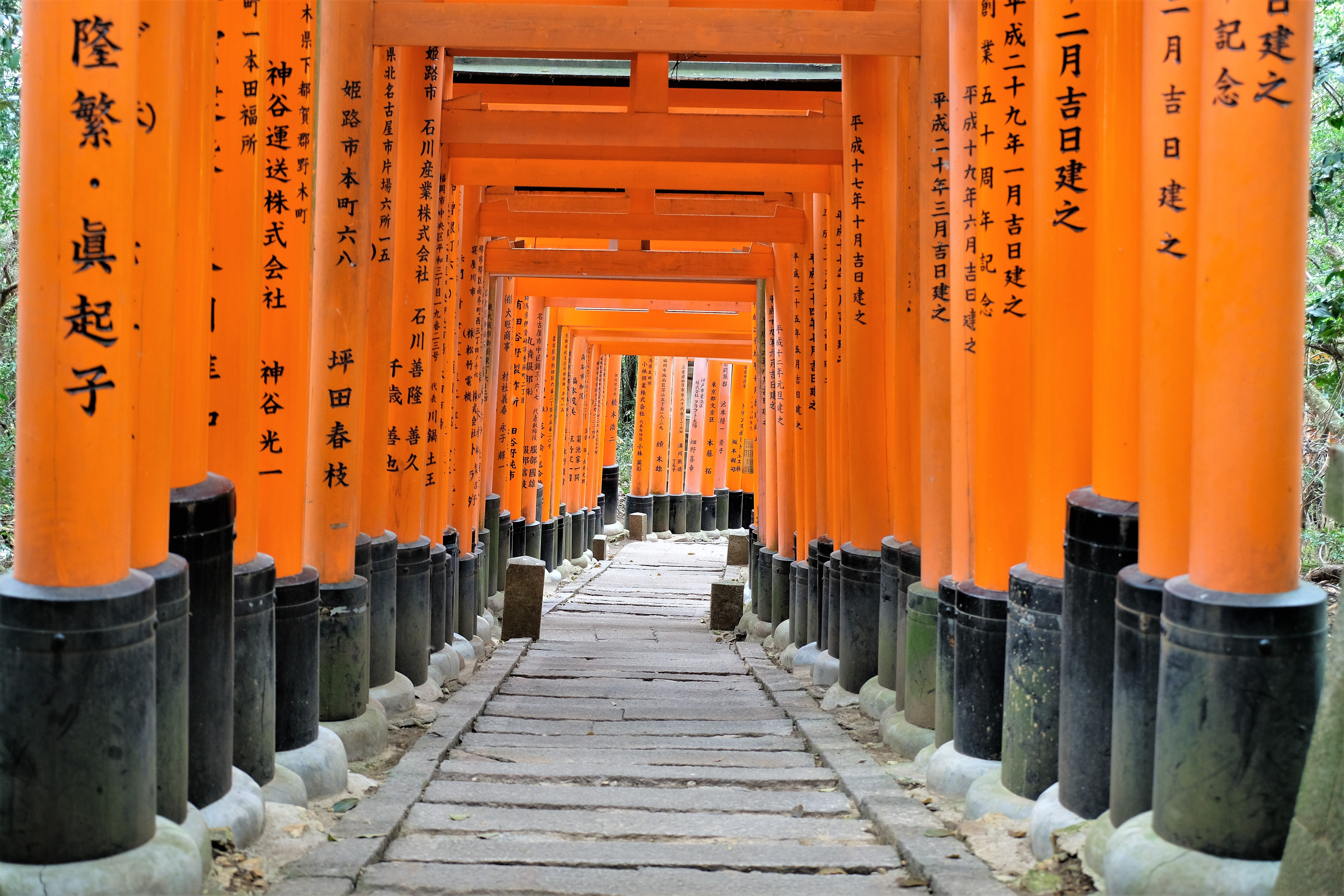 Fushimi Inari Taisha