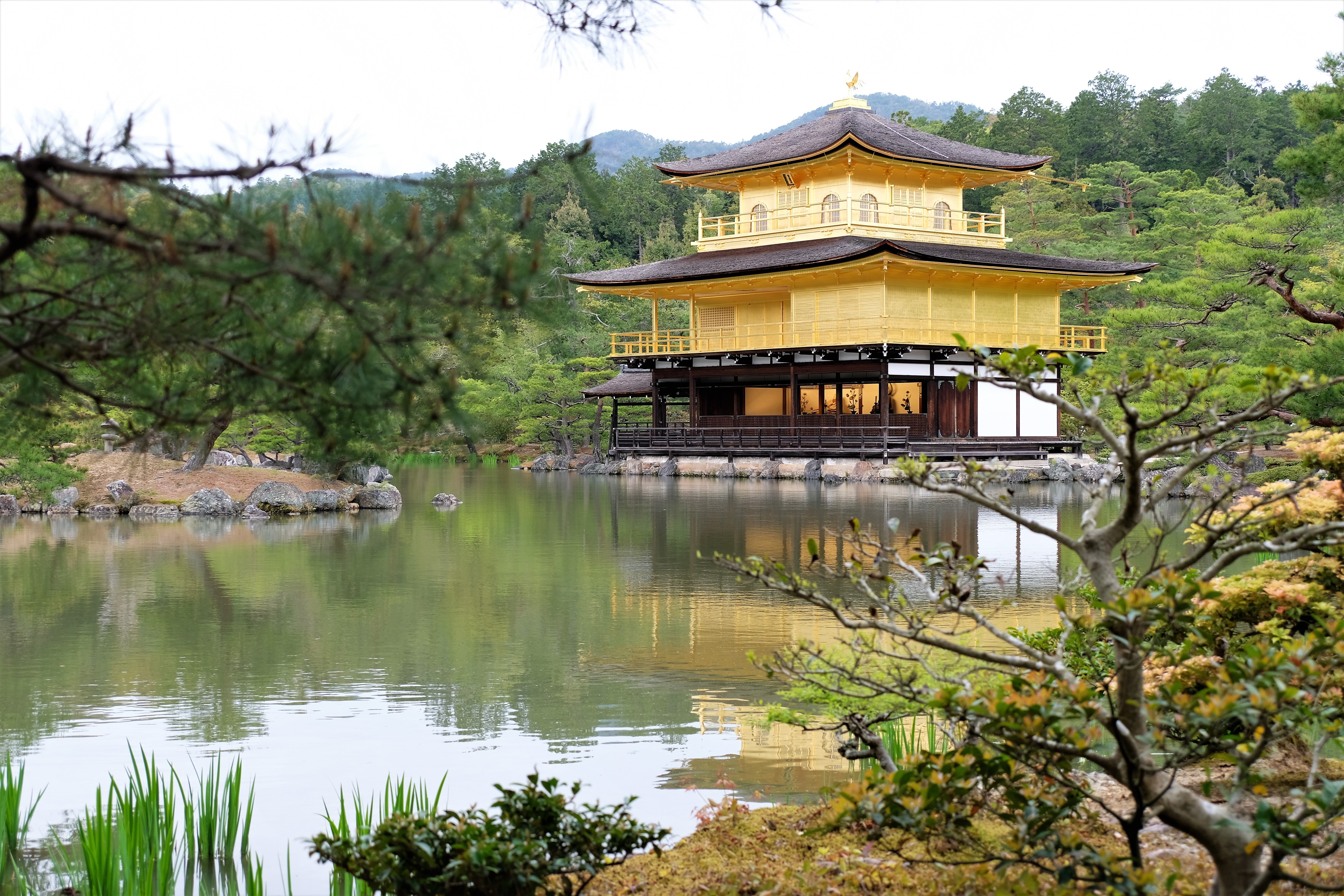 Kinkaku-ji