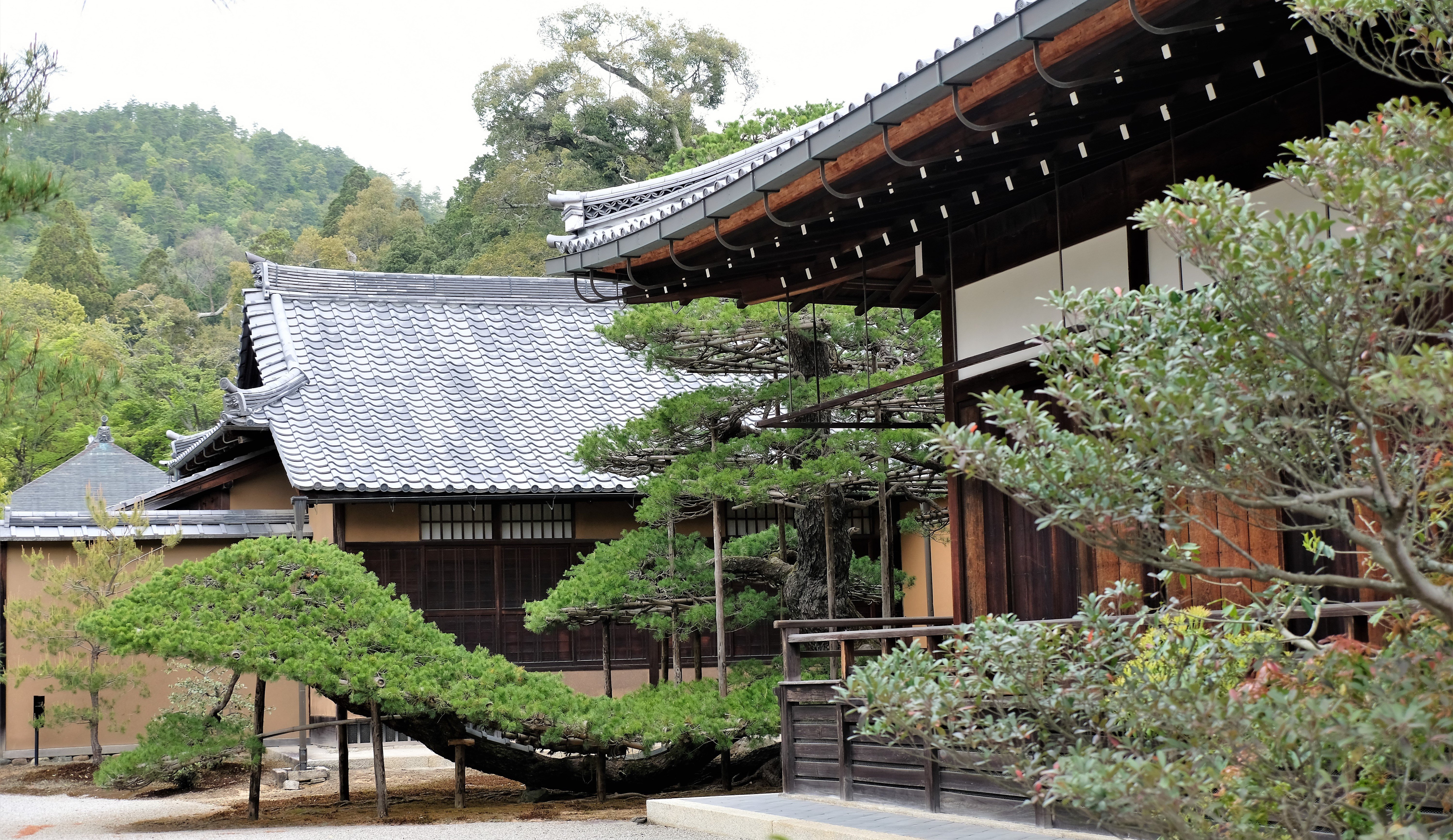 Kinkaku-ji