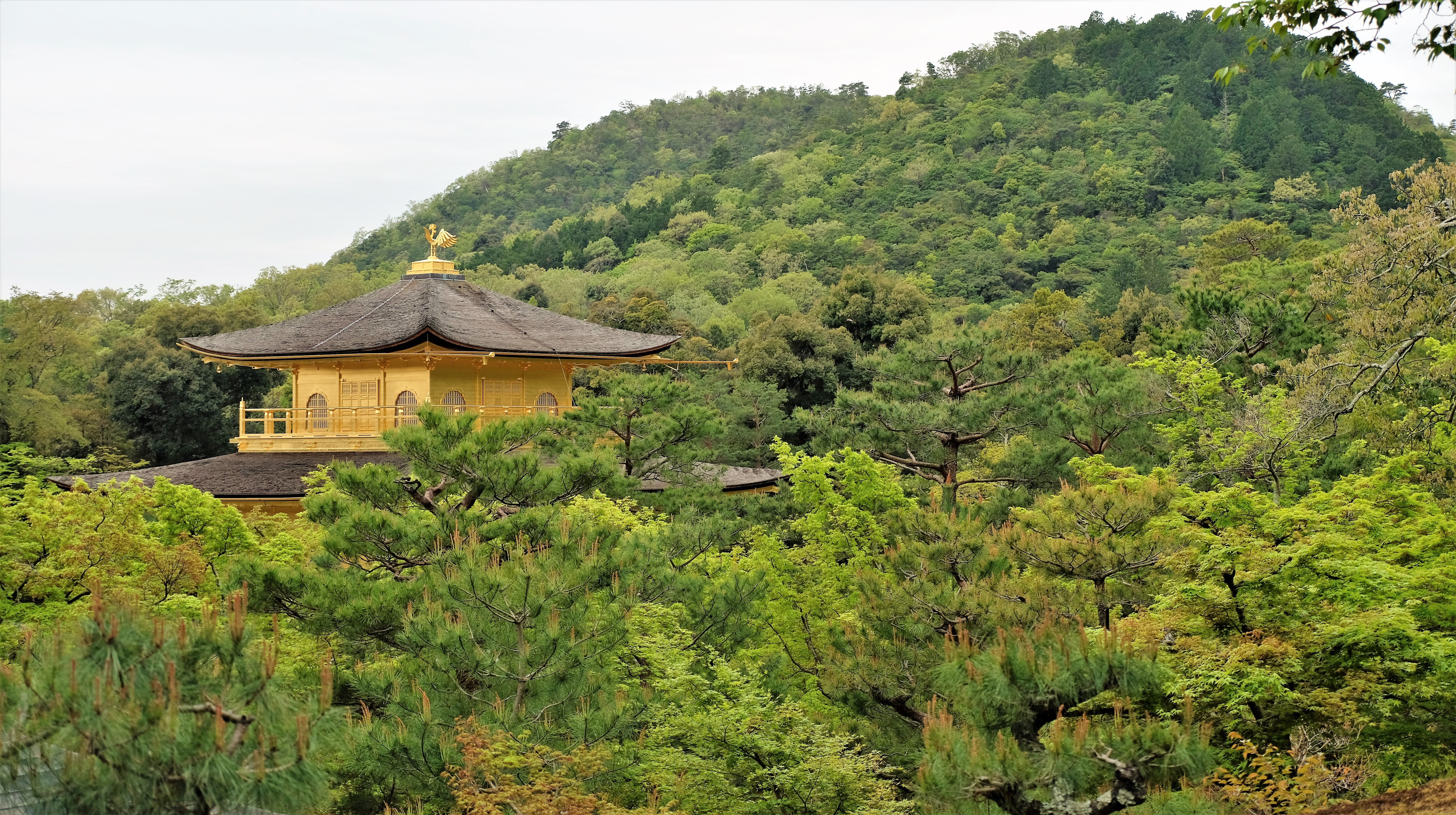 Kinkaku-ji