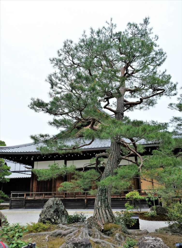 Kinkaku-ji