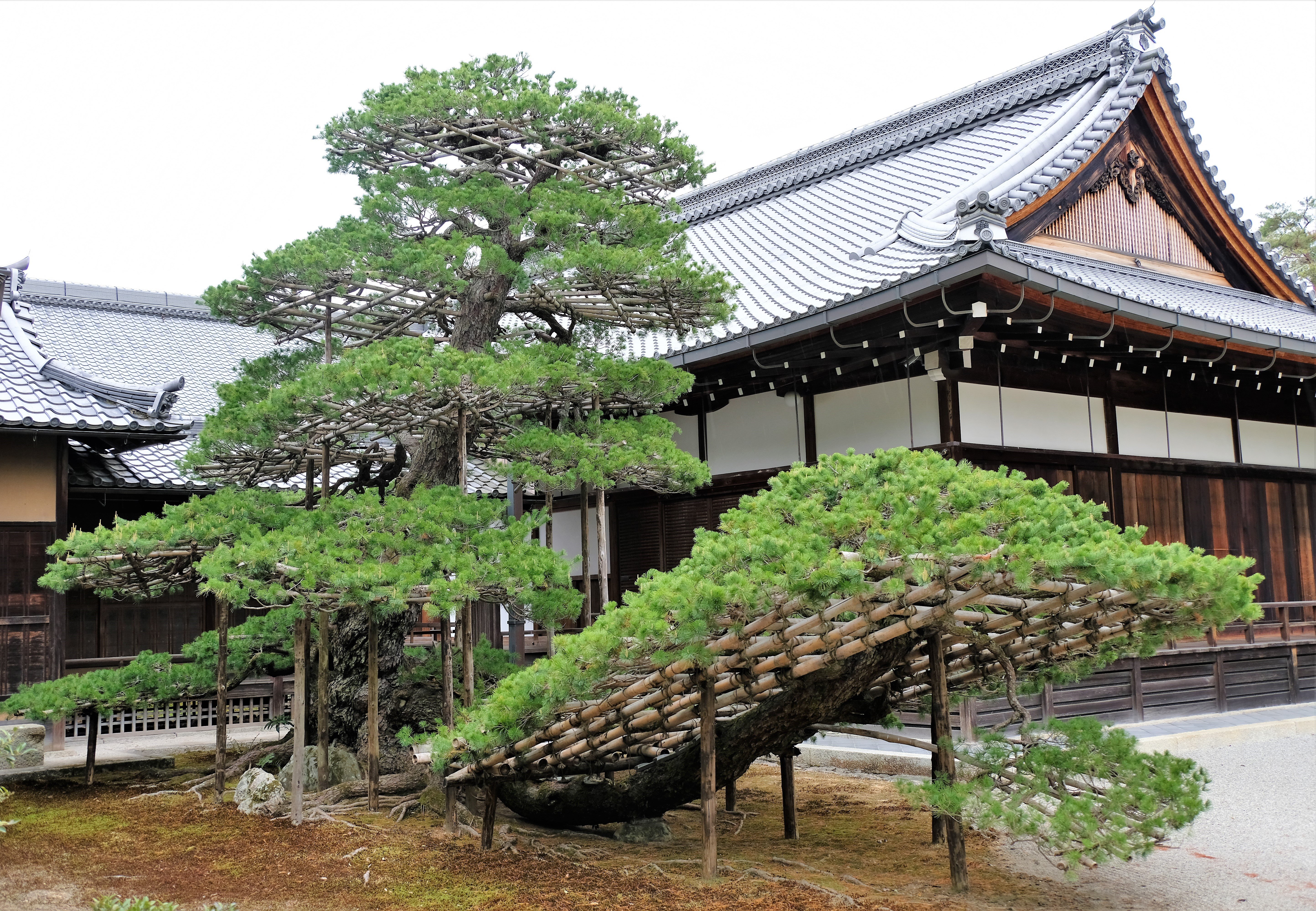 Kinkaku-ji