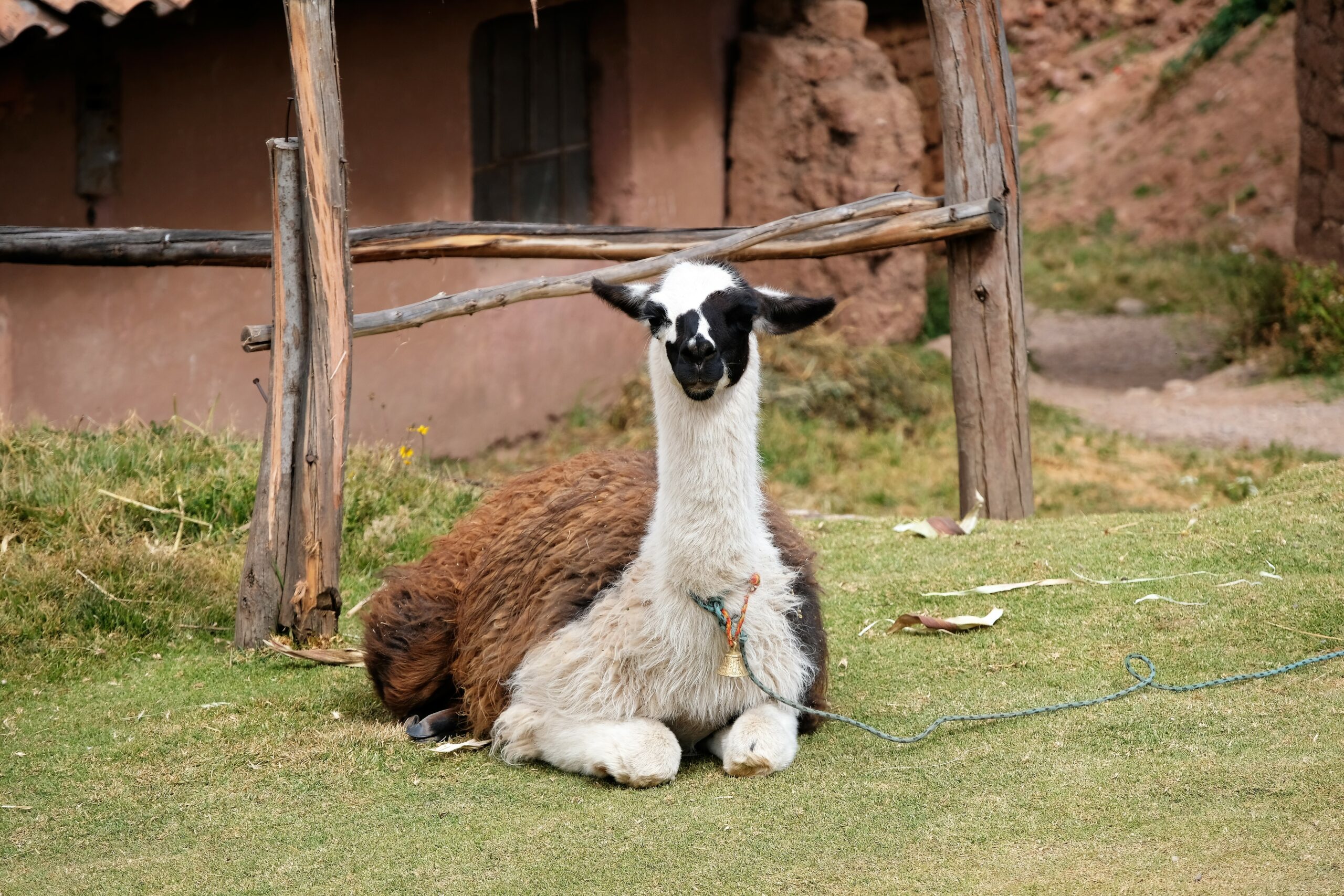 Cusco