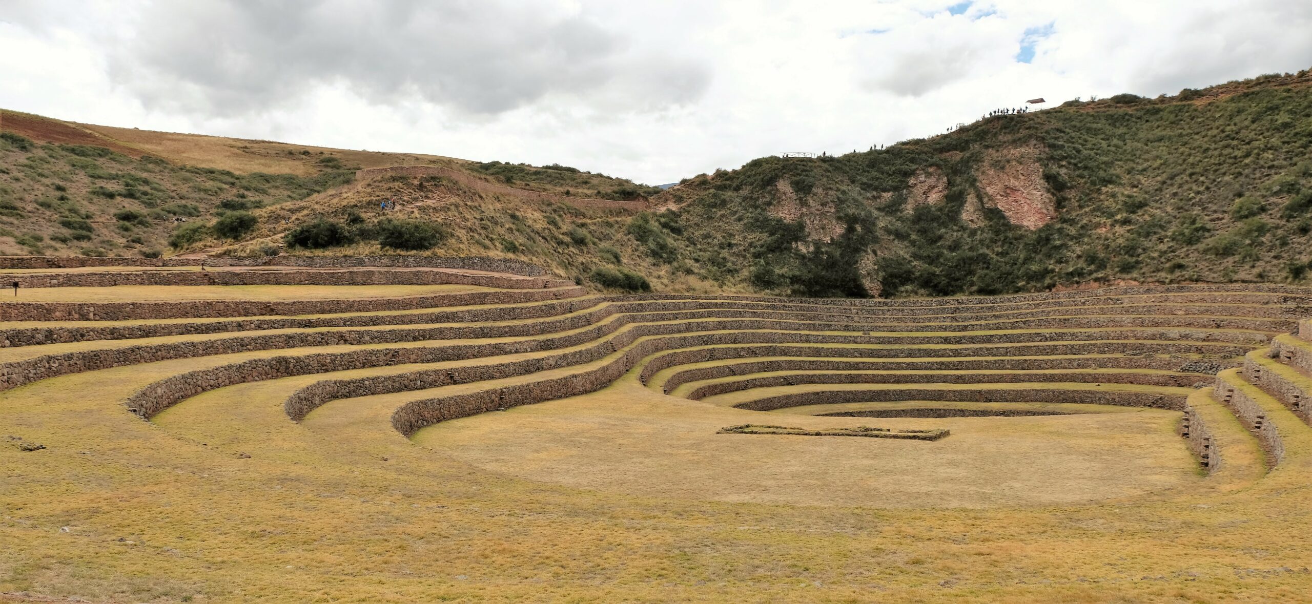 Moray