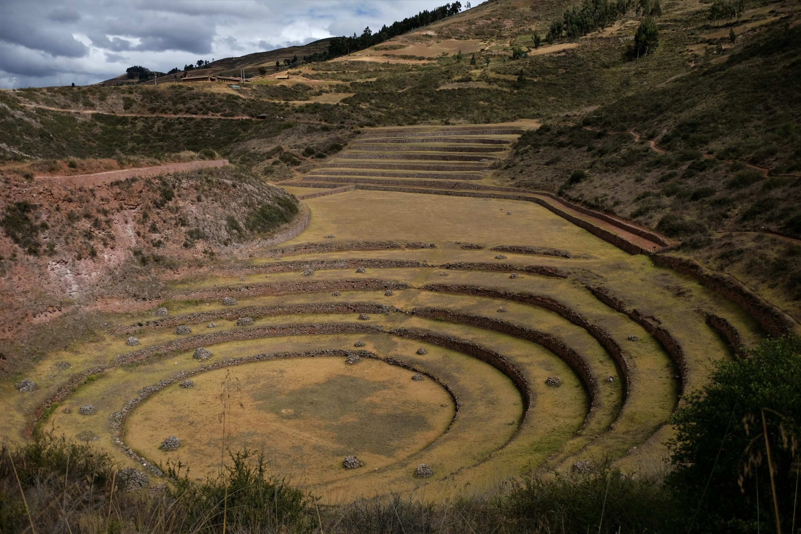 Moray