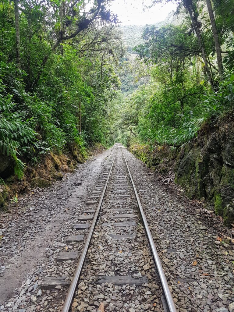 Hidroelectrica to Aguas Calientes, gateway to Machu Picchu ~ Batnomad