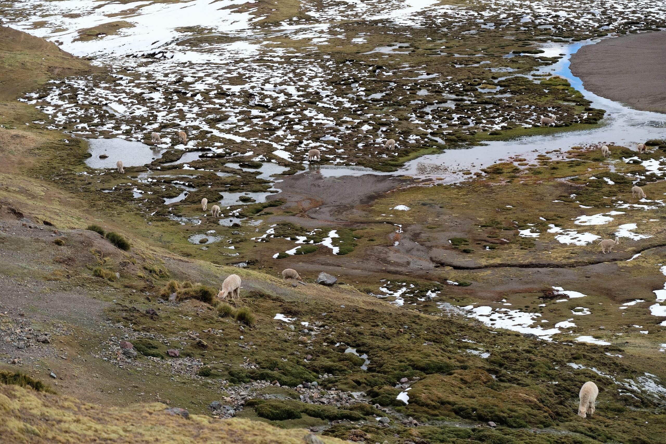 Peru