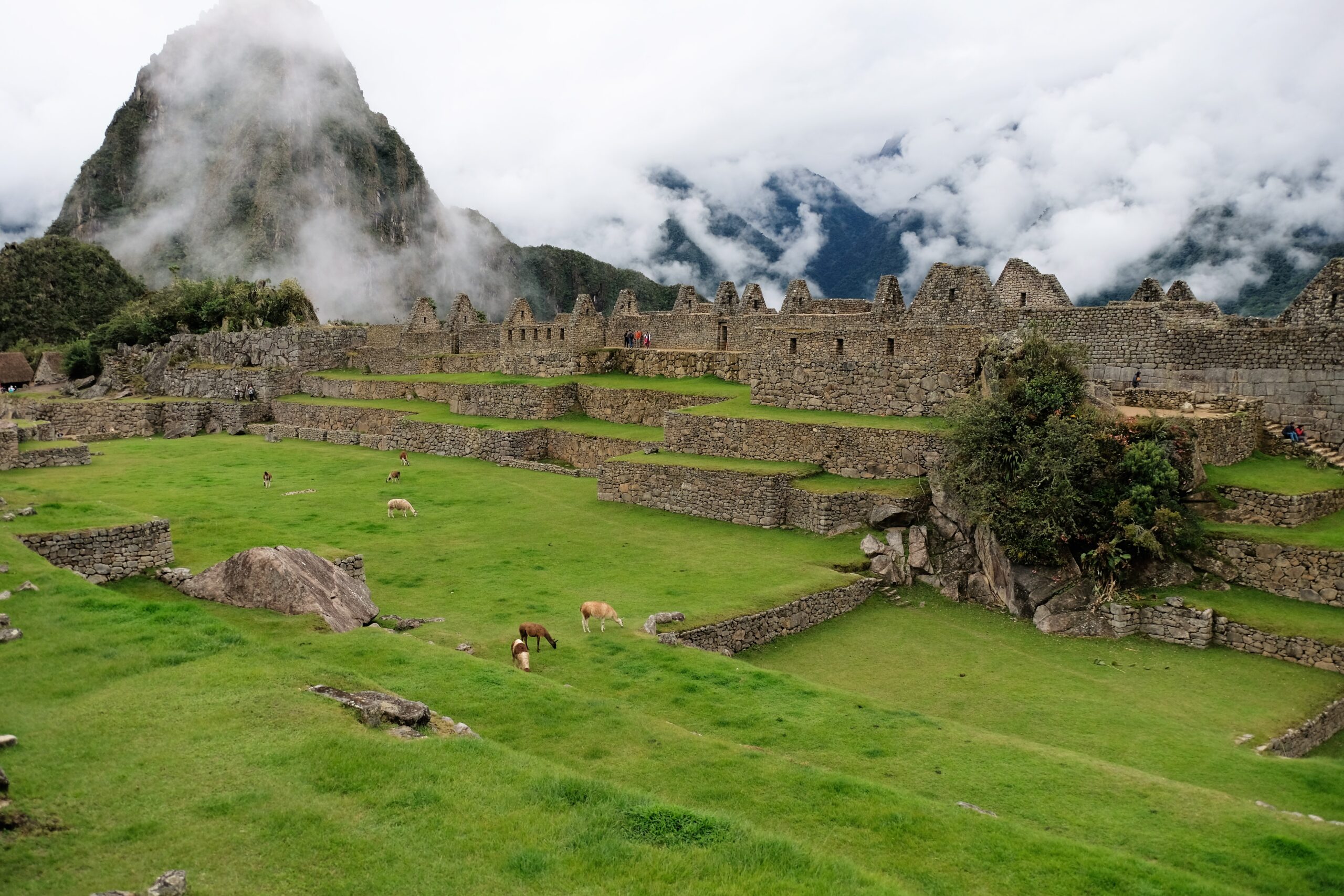 Machu Picchu