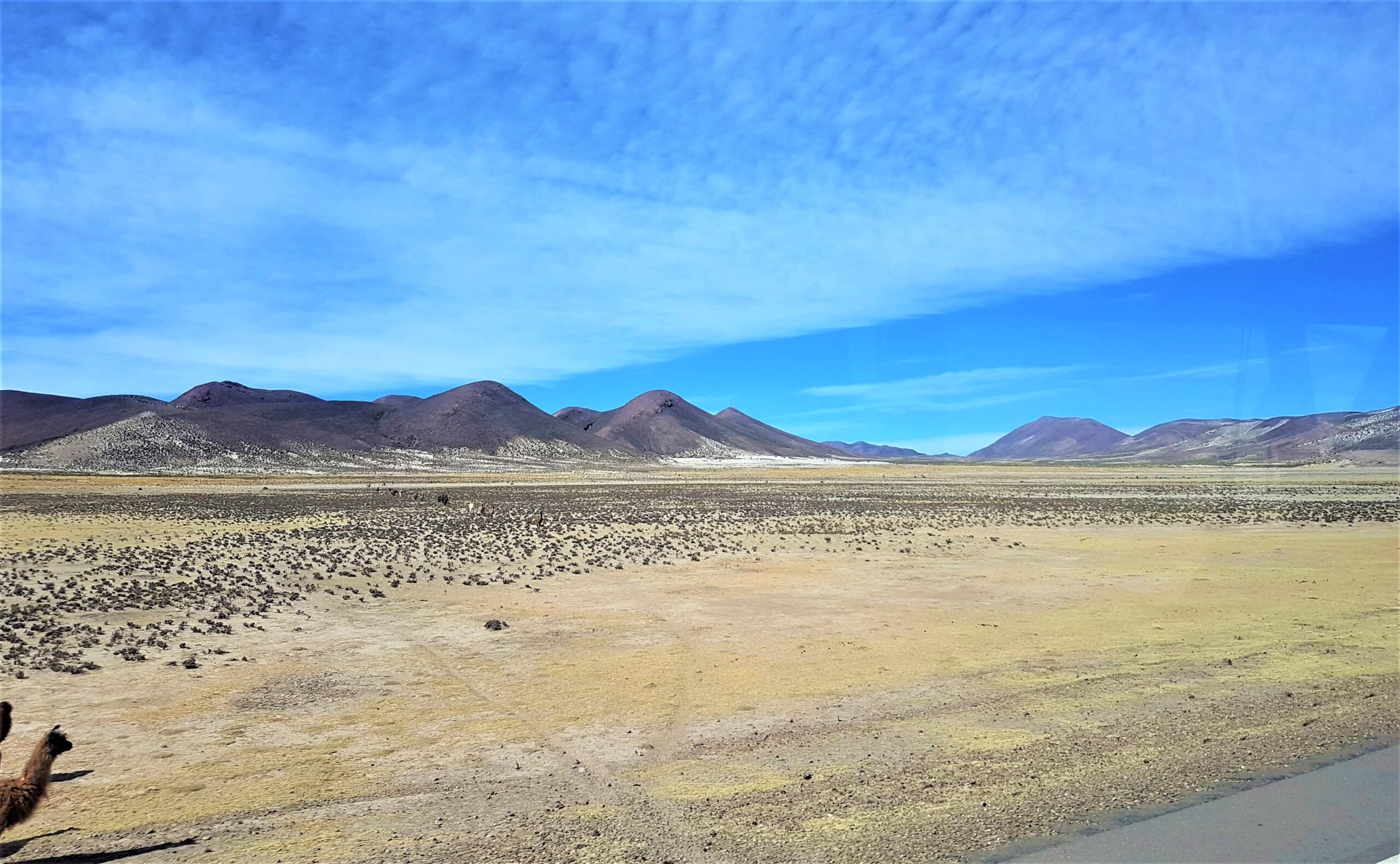 Uyuni