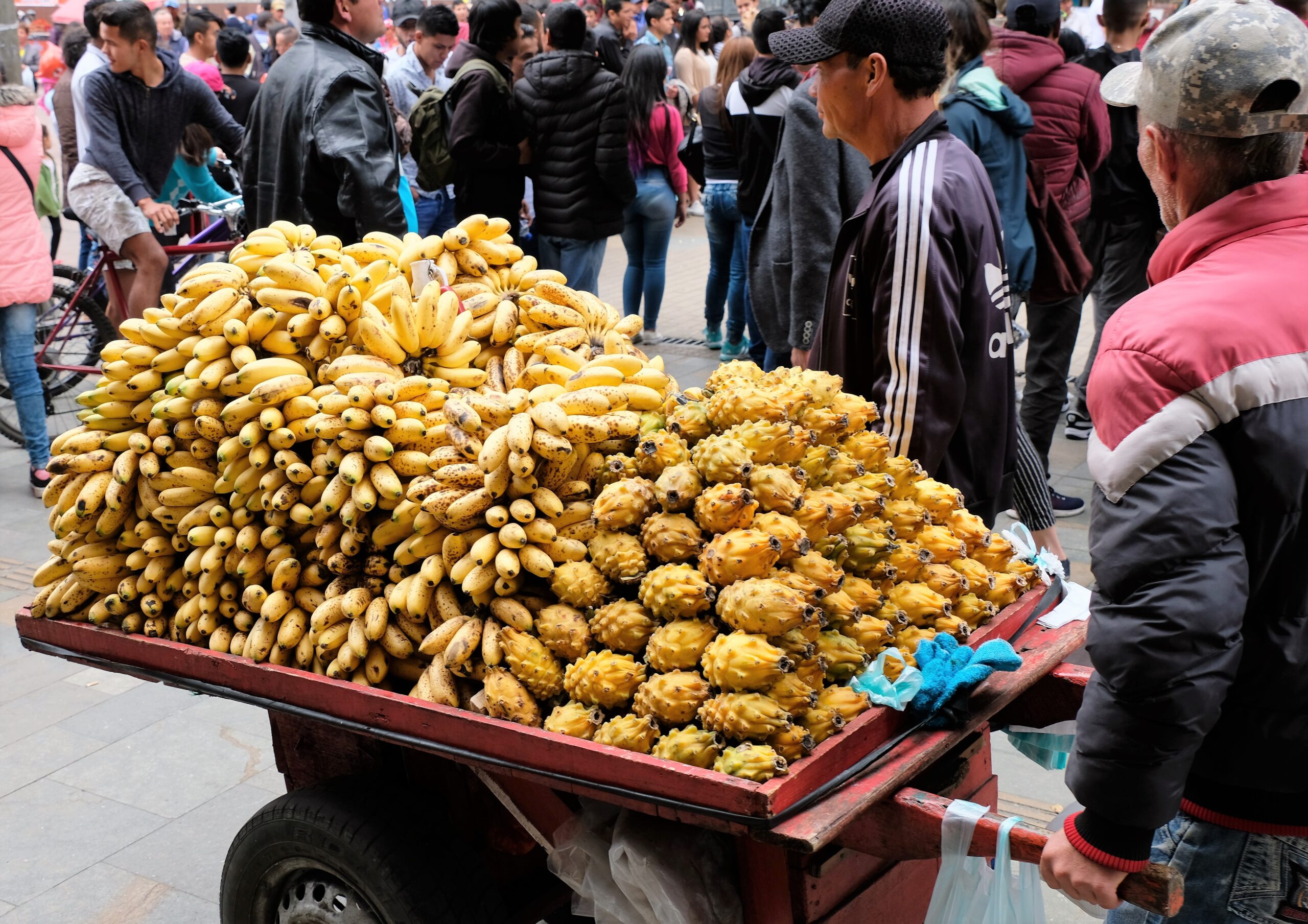 Bogota