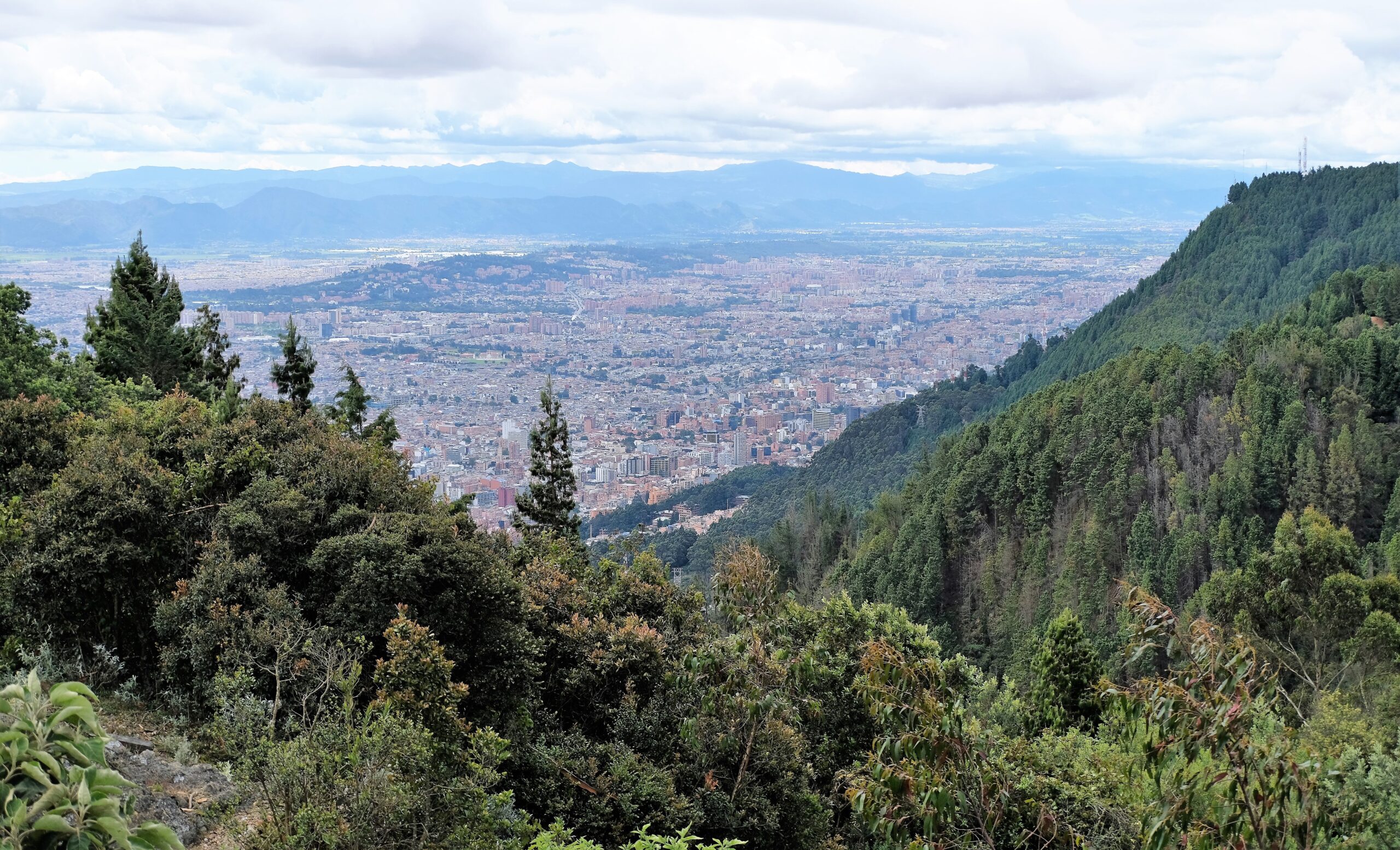 Bogota