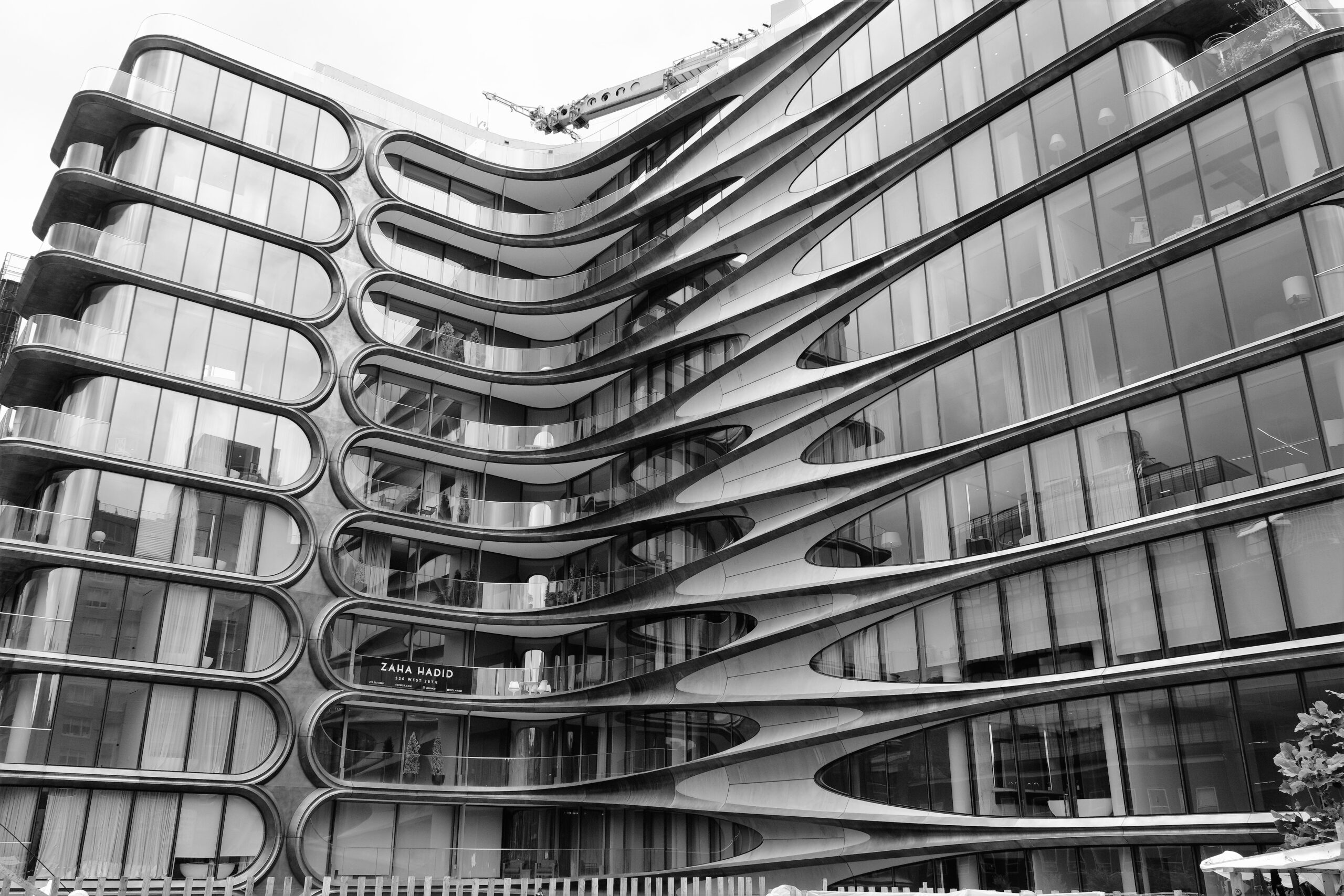 zaha hadid