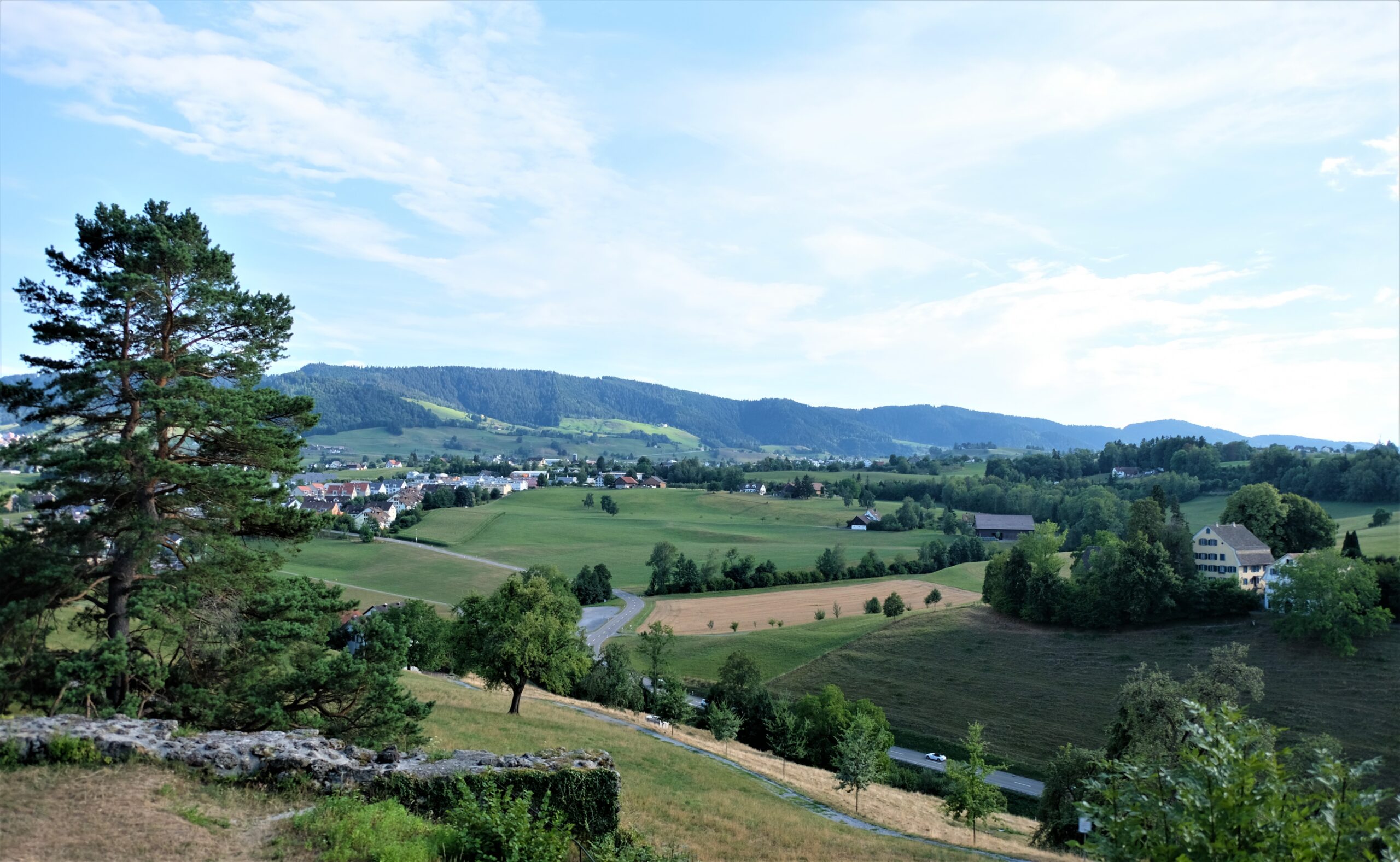 Wädenswil Castle